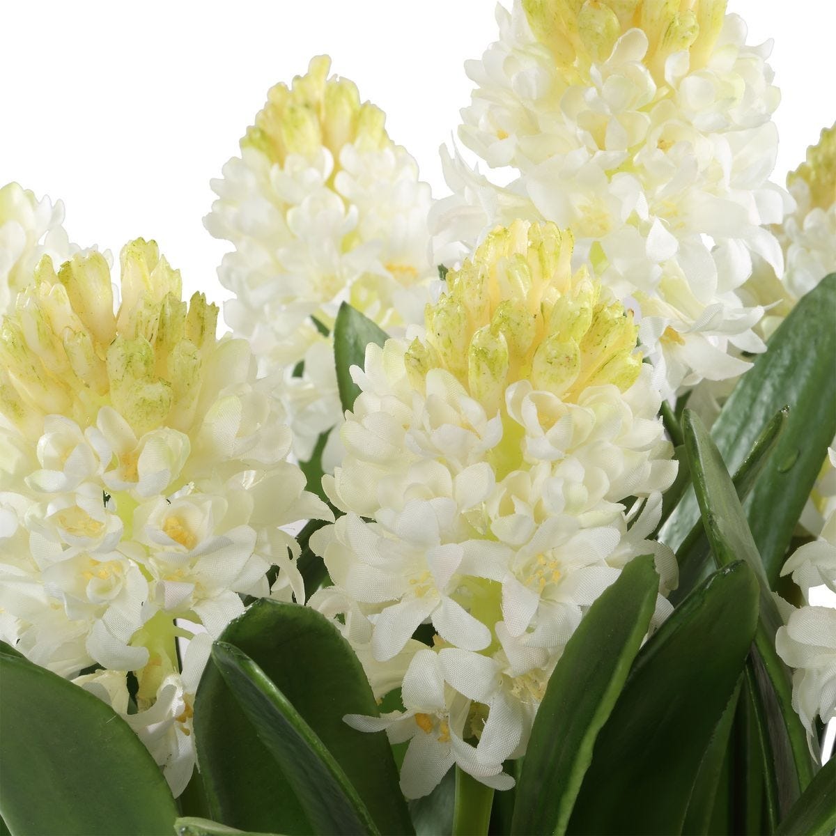 Sincerity Potted Hyacinth Plant by Uttermost