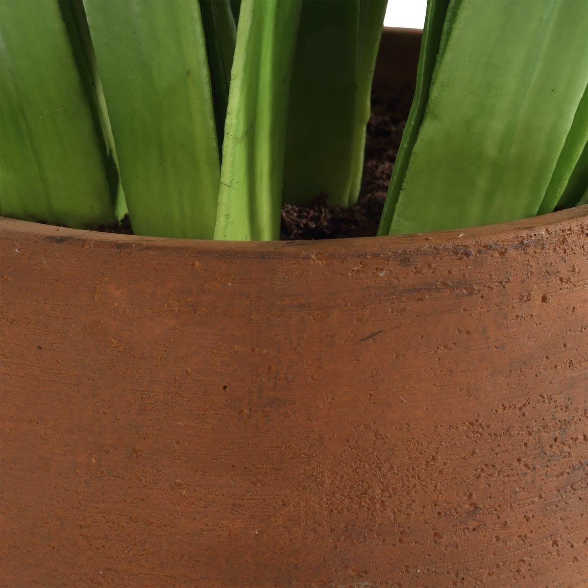 Sincerity Potted Hyacinth Plant by Uttermost