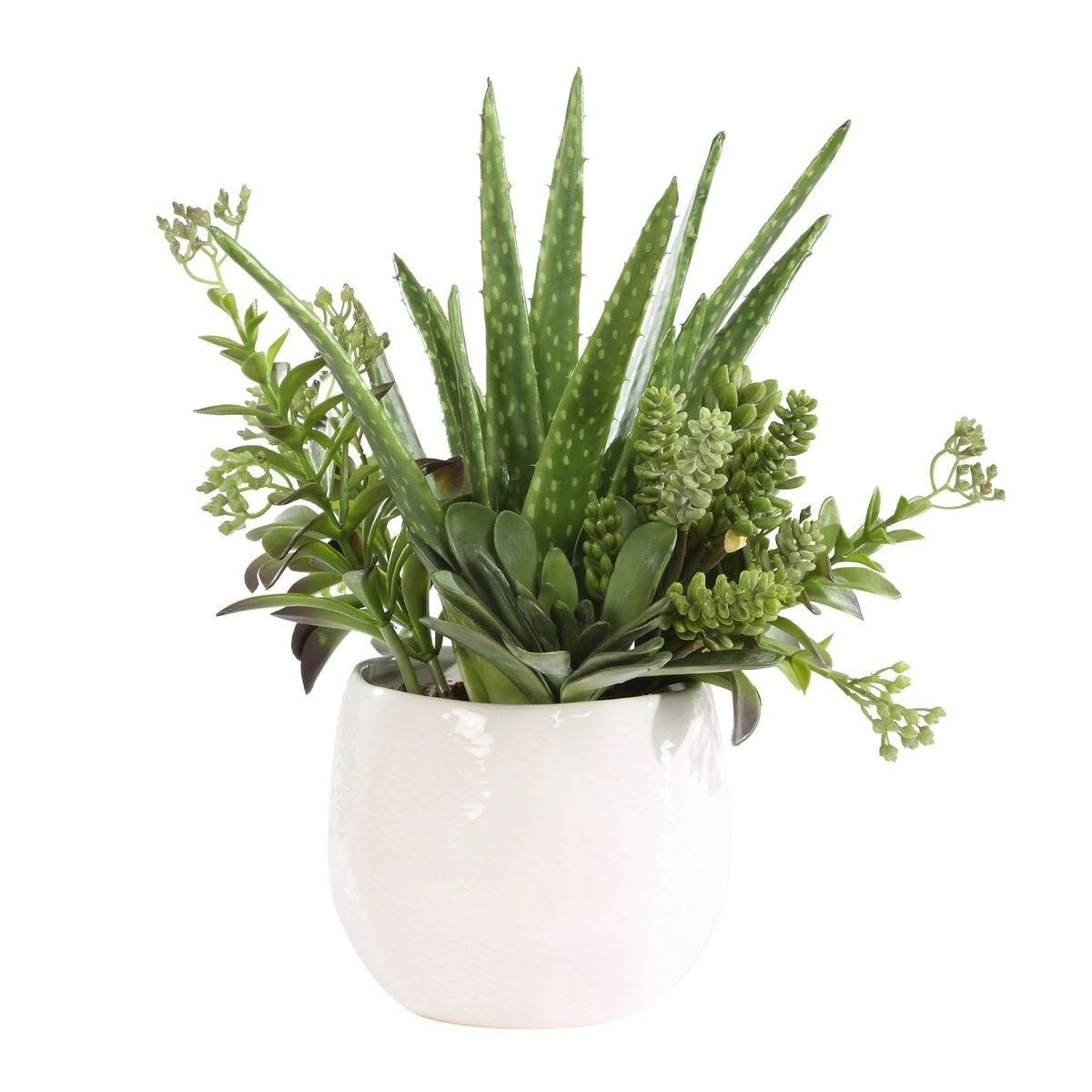 Sundown Succulent Accent Planter by Uttermost