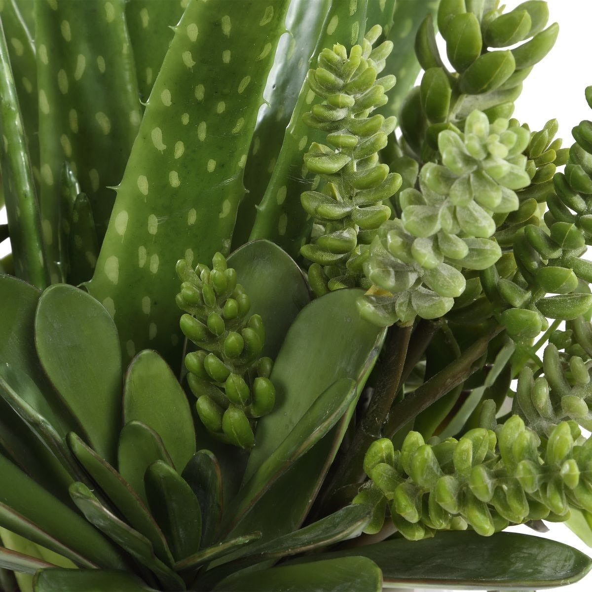 Sundown Succulent Accent Planter by Uttermost
