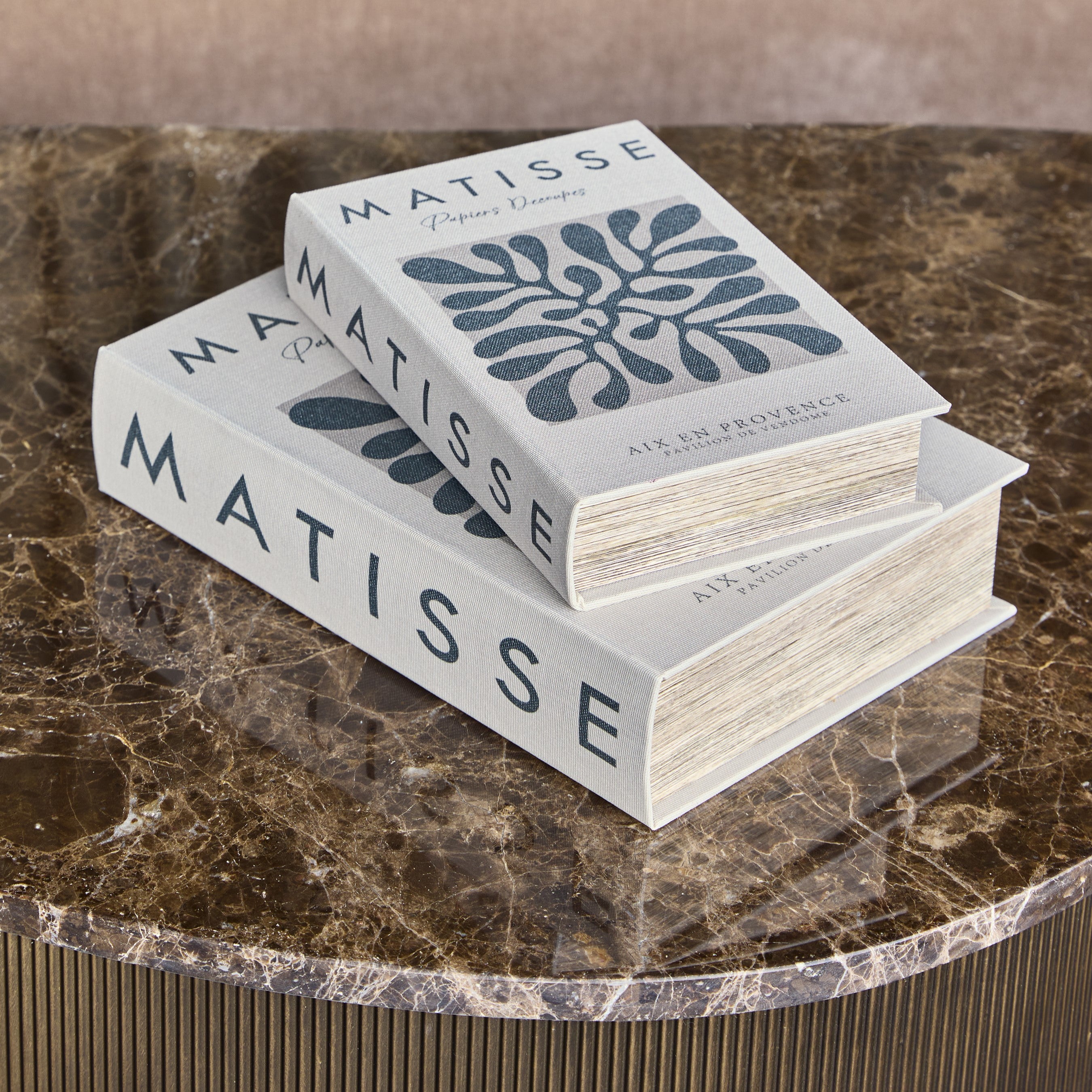 Matisse Set of 2 Book Boxes by Libra Interiors
