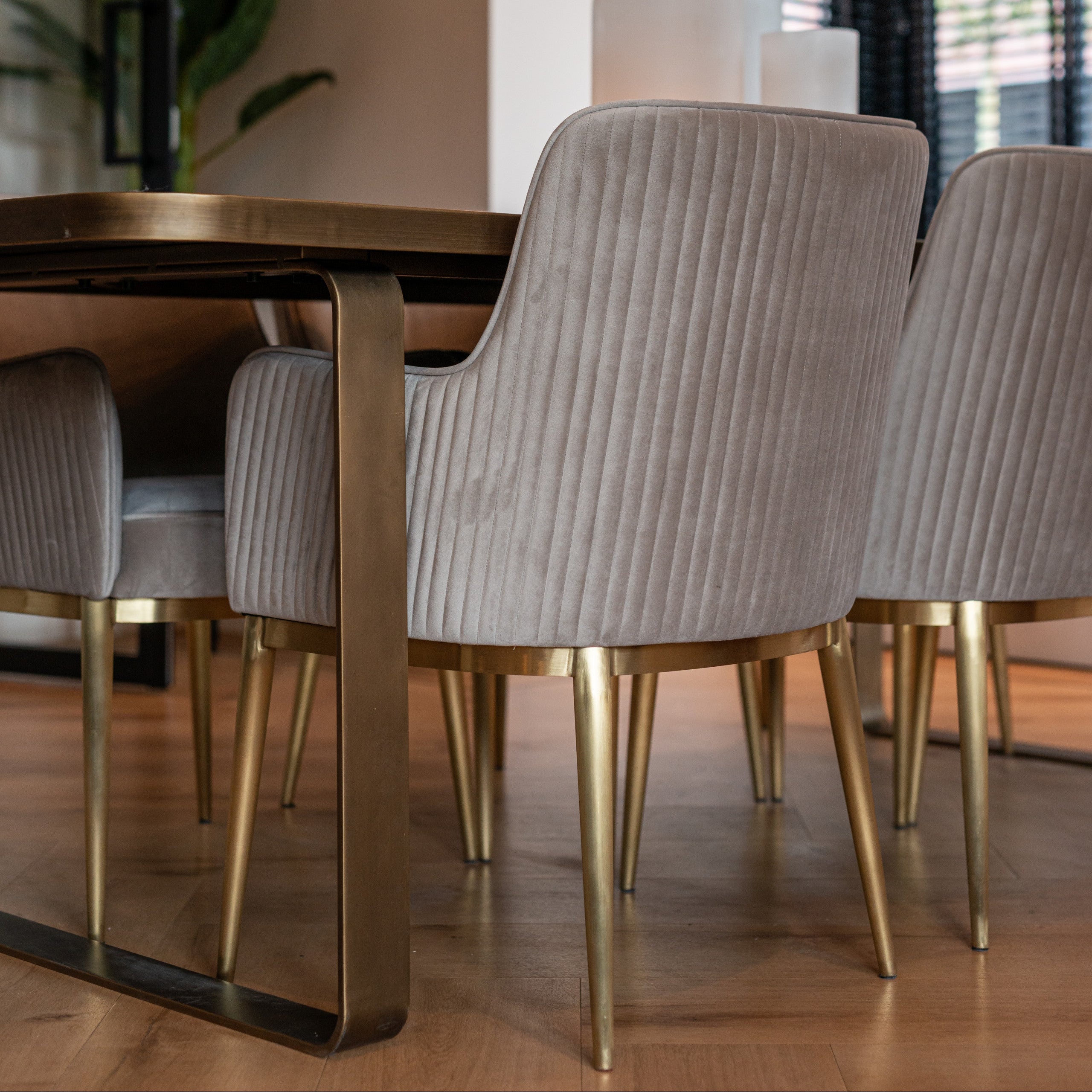 Dining chair Breeze khaki velvet fire retardant (Set of 2) by Richmond Interiors