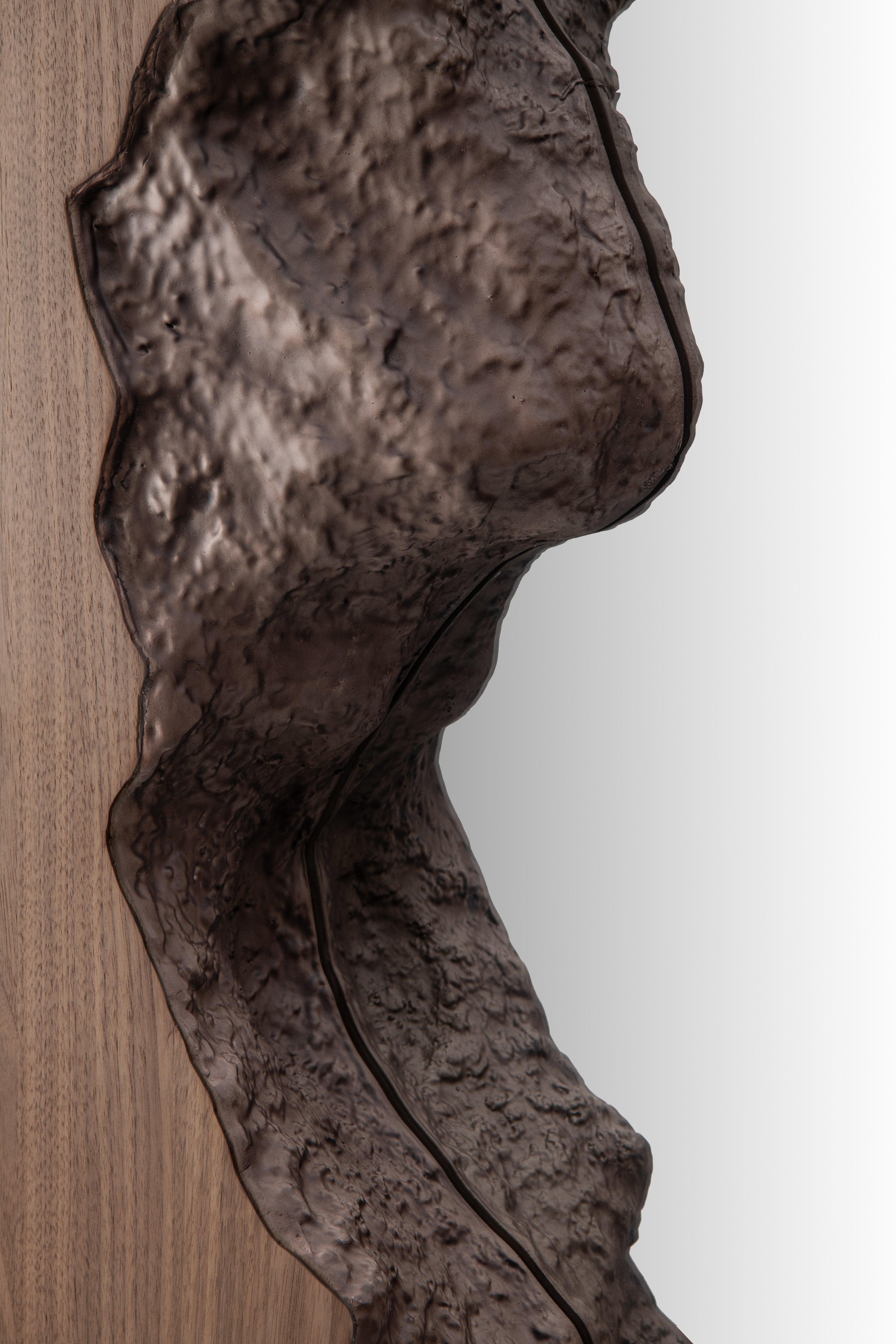 Forrest Walnut Mirror by Tommy Franks