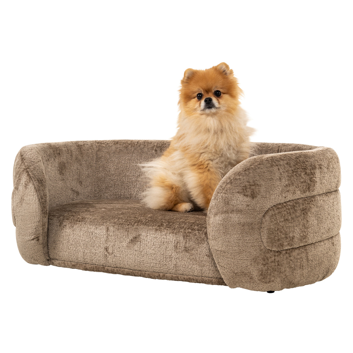 Pet bed Bingo taupe chenille by Richmond Interiors