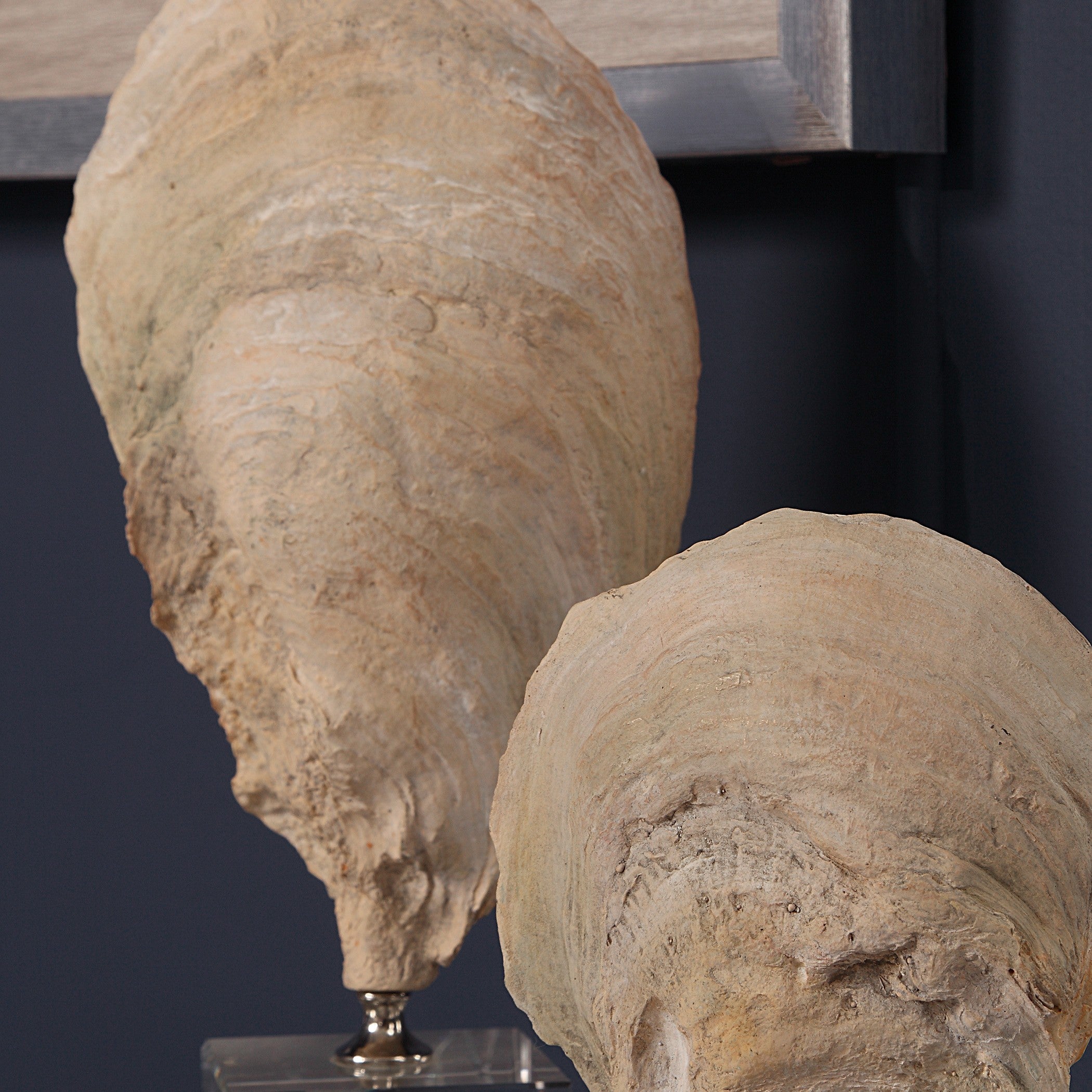Oyster Shell Sculptures - Set of 2 by Uttermost