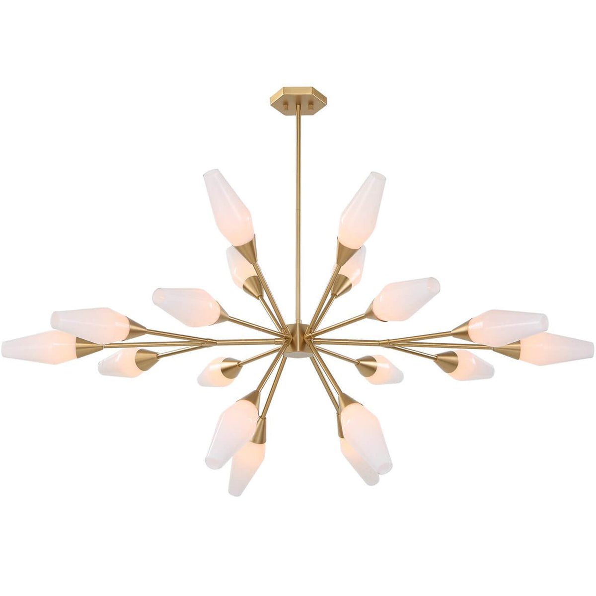 Agapanthus 18 Light Pendant in Brass Uttermost