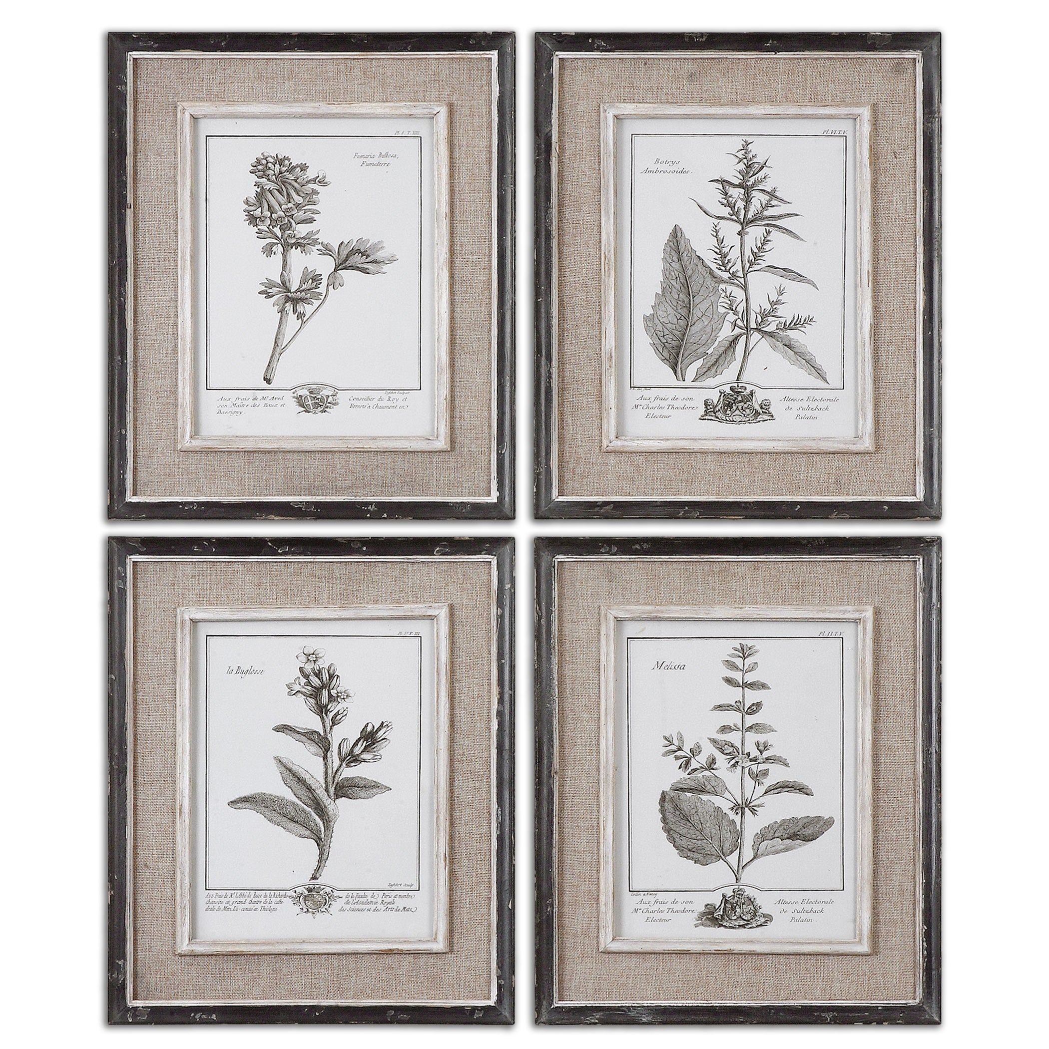 Casual Grey Study Framed Art - Set of 4 by Uttermost