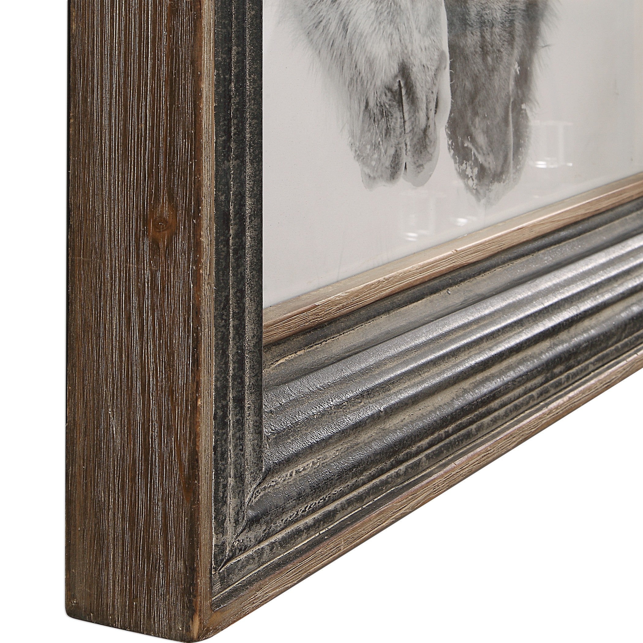 Horse Photography Framed Print in Black and White by Uttermost