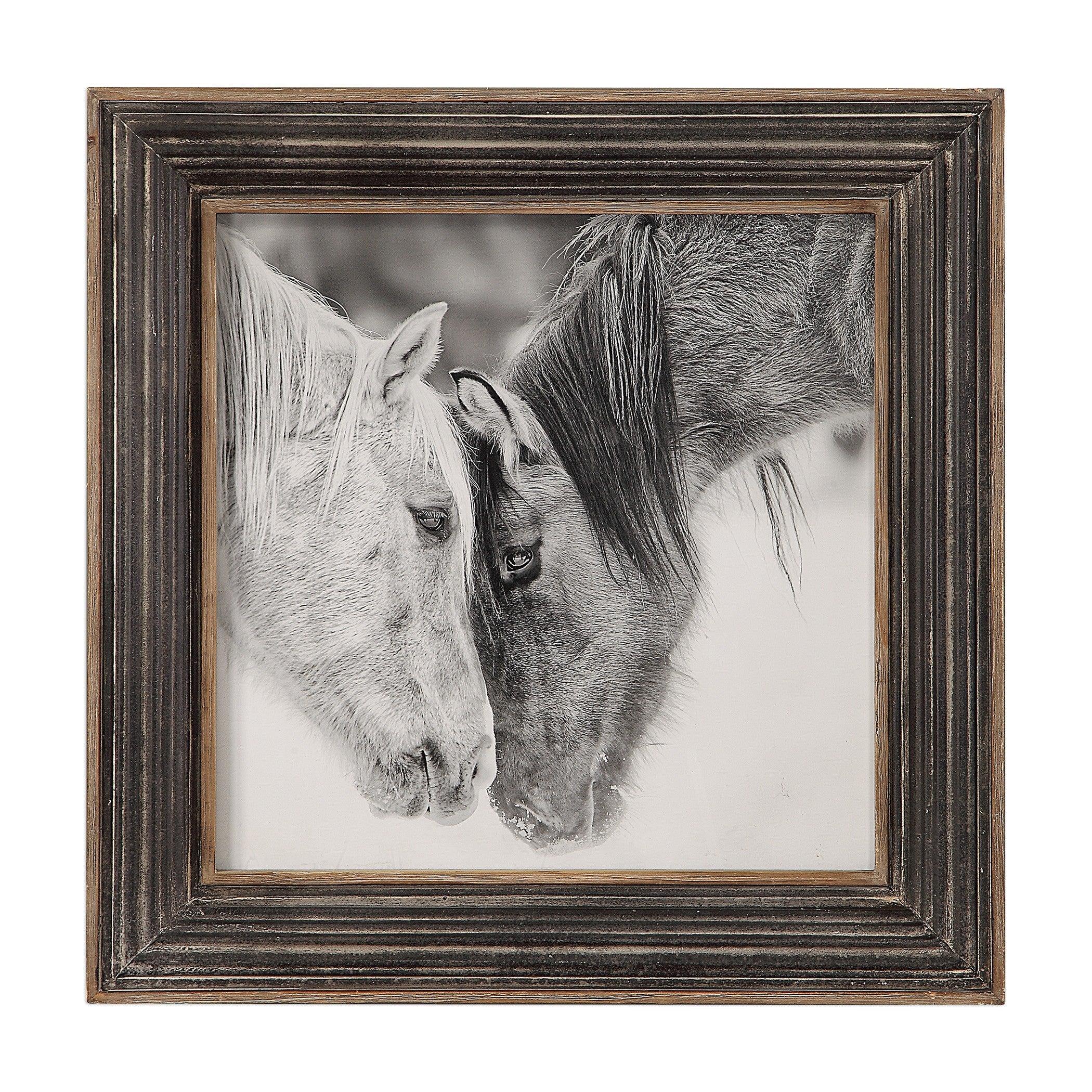 Horse Photography Framed Print in Black and White by Uttermost