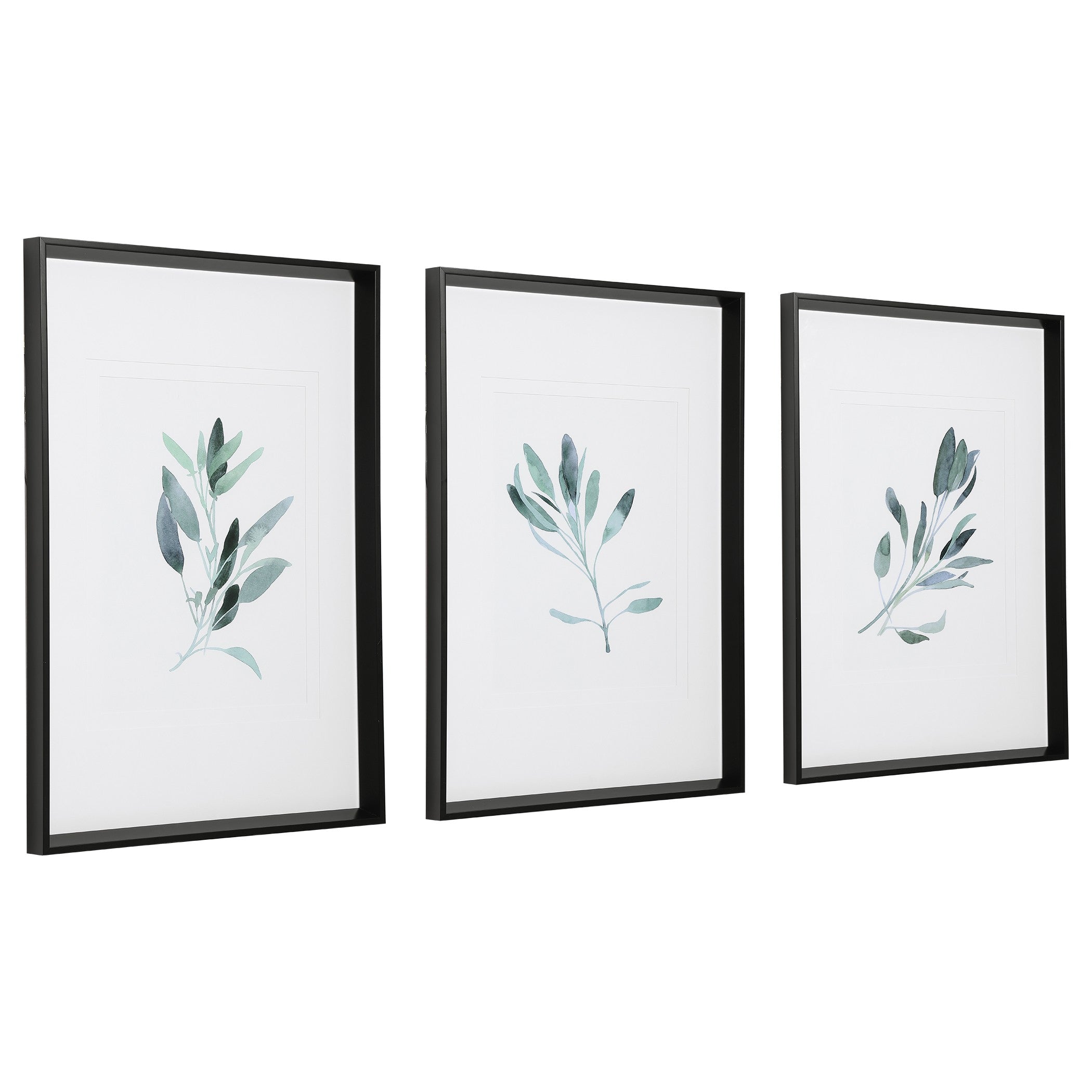 Simple Sage Watercolor Prints - Set of 3 by Uttermost