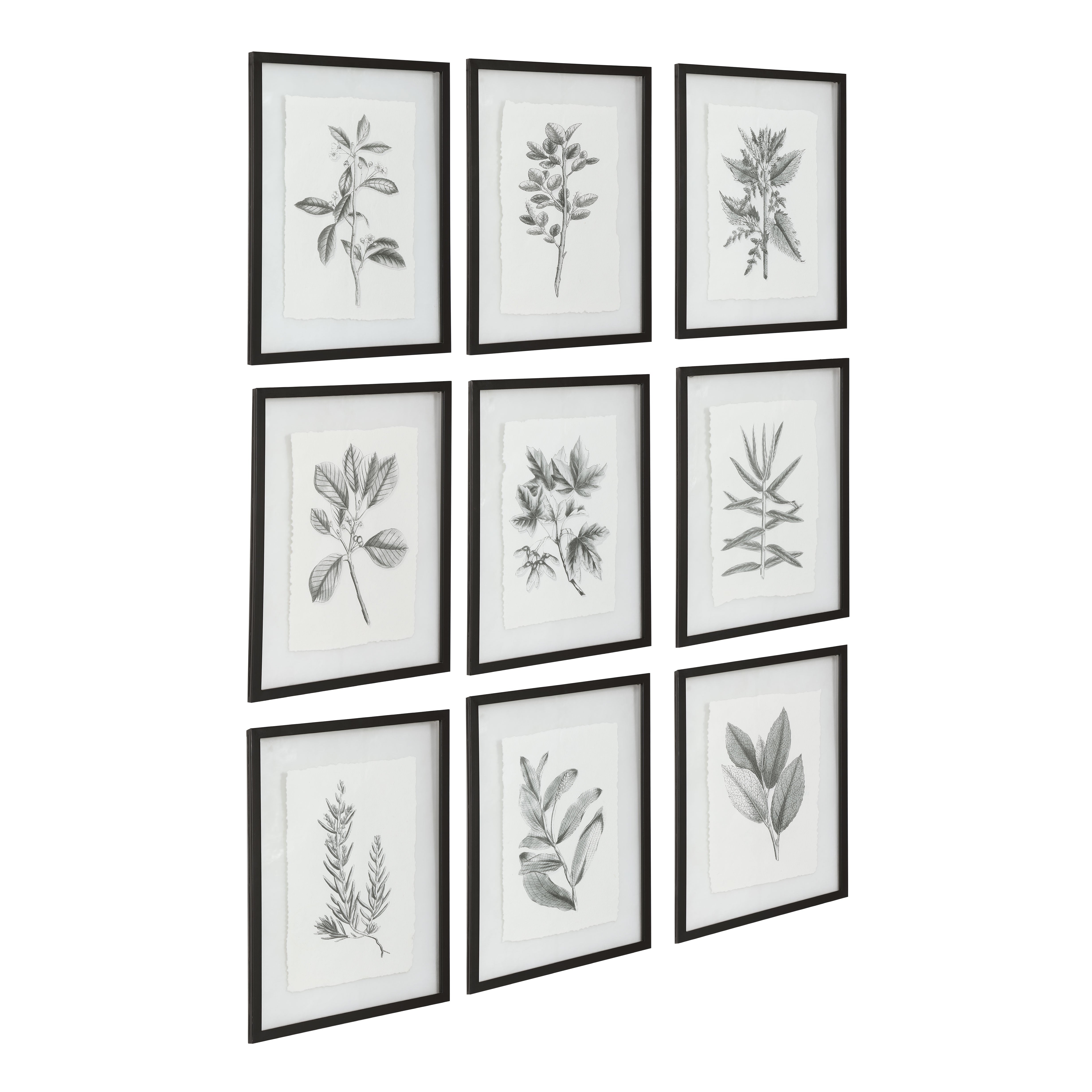 Farmhouse Florals Framed Prints - Set of 9 by Uttermost