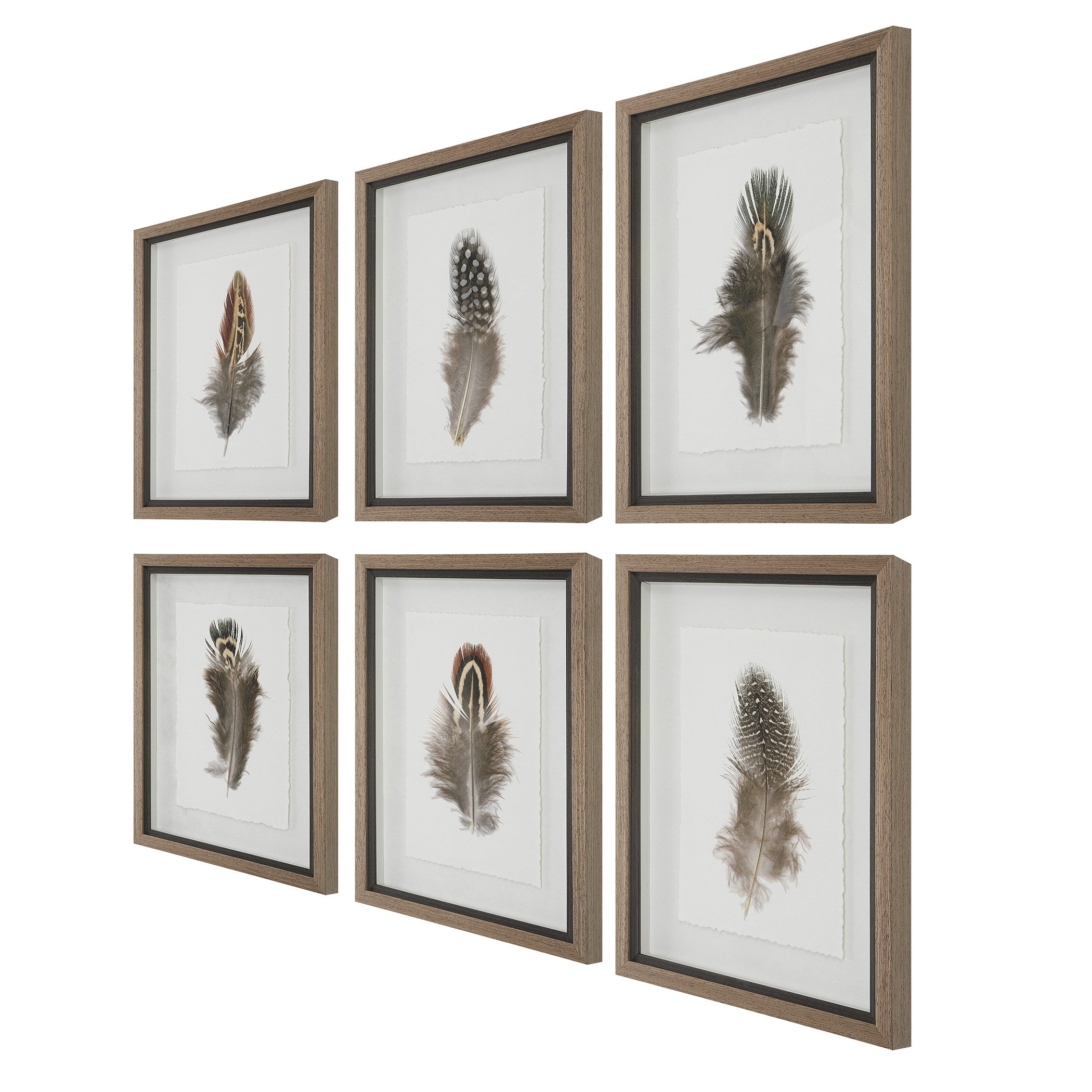 Birds Of A Feather Framed Prints - Set of 6 by Uttermost