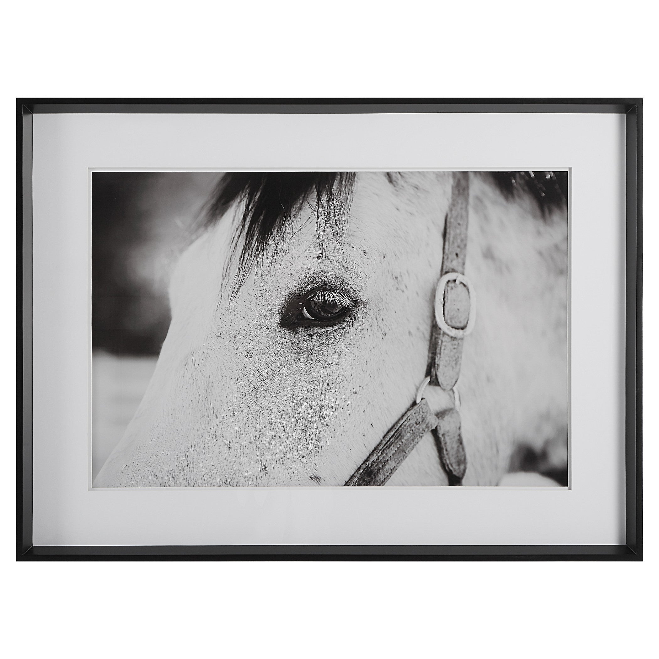 Eye Of The Beholder Framed Print by Uttermost