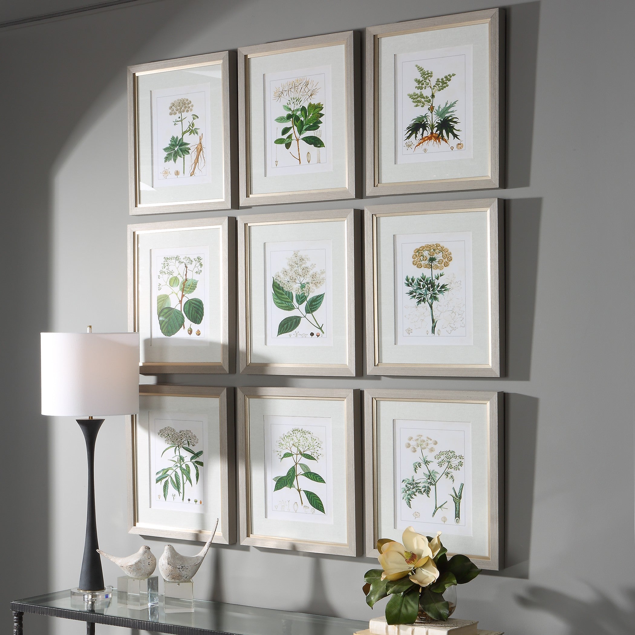Antique Botanicals Framed Prints - Set of 9 by Uttermost