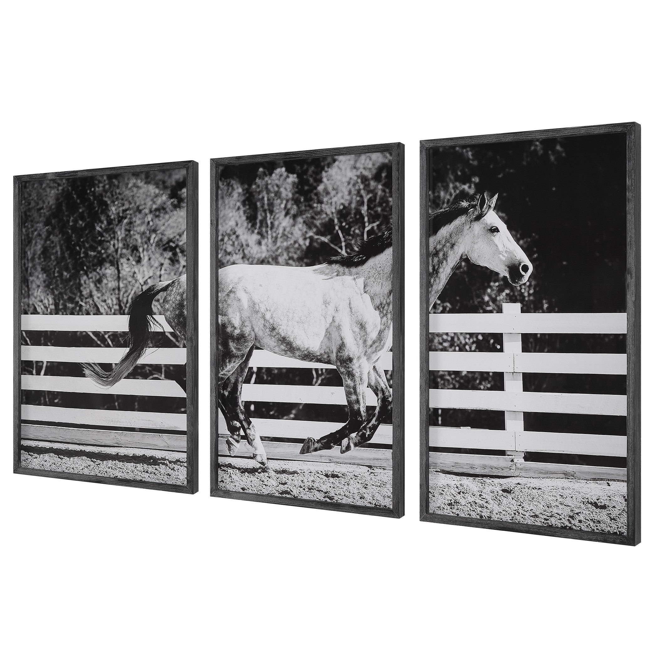 Galloping Forward Equine Prints - Set of 3 by Uttermost