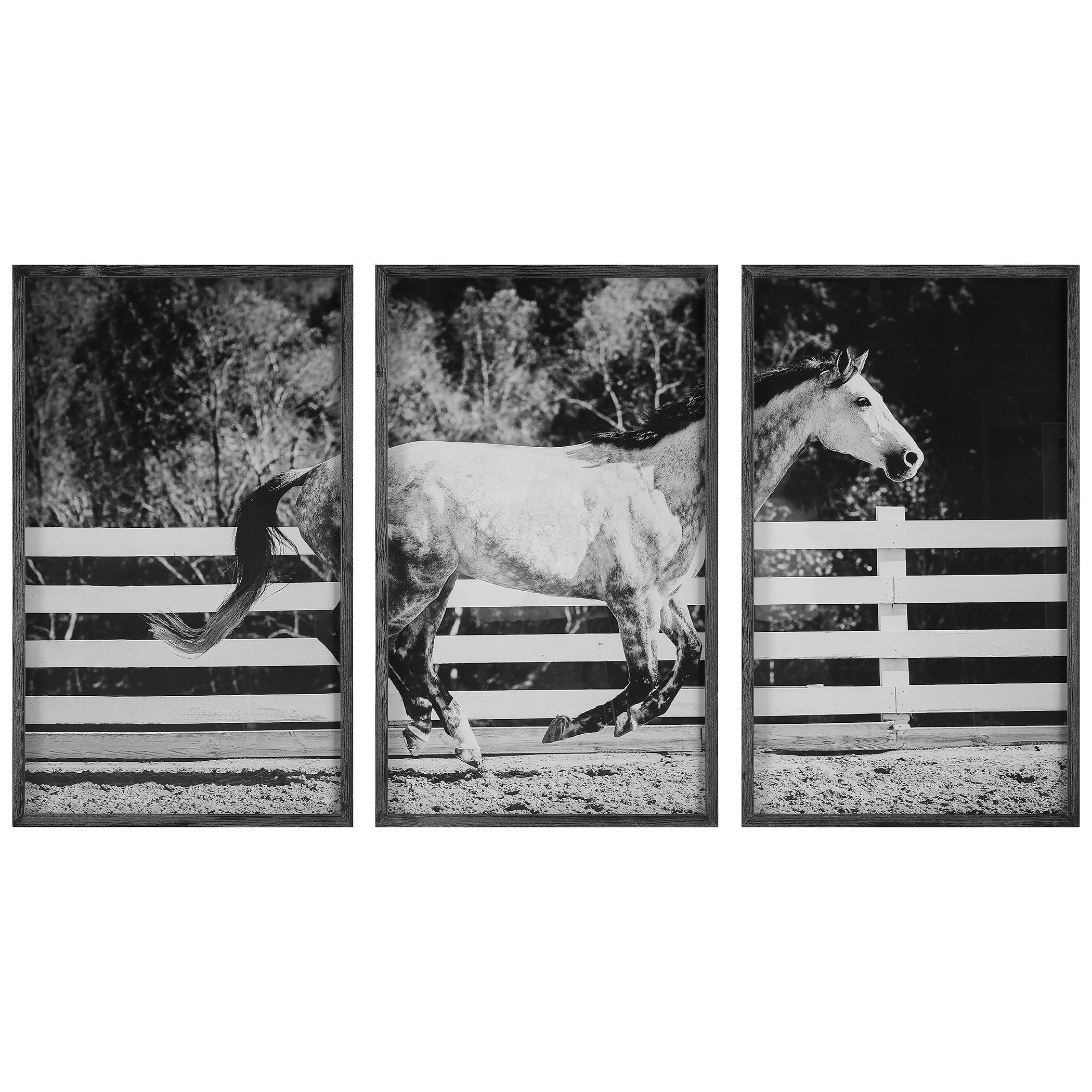 Galloping Forward Equine Prints - Set of 3 by Uttermost