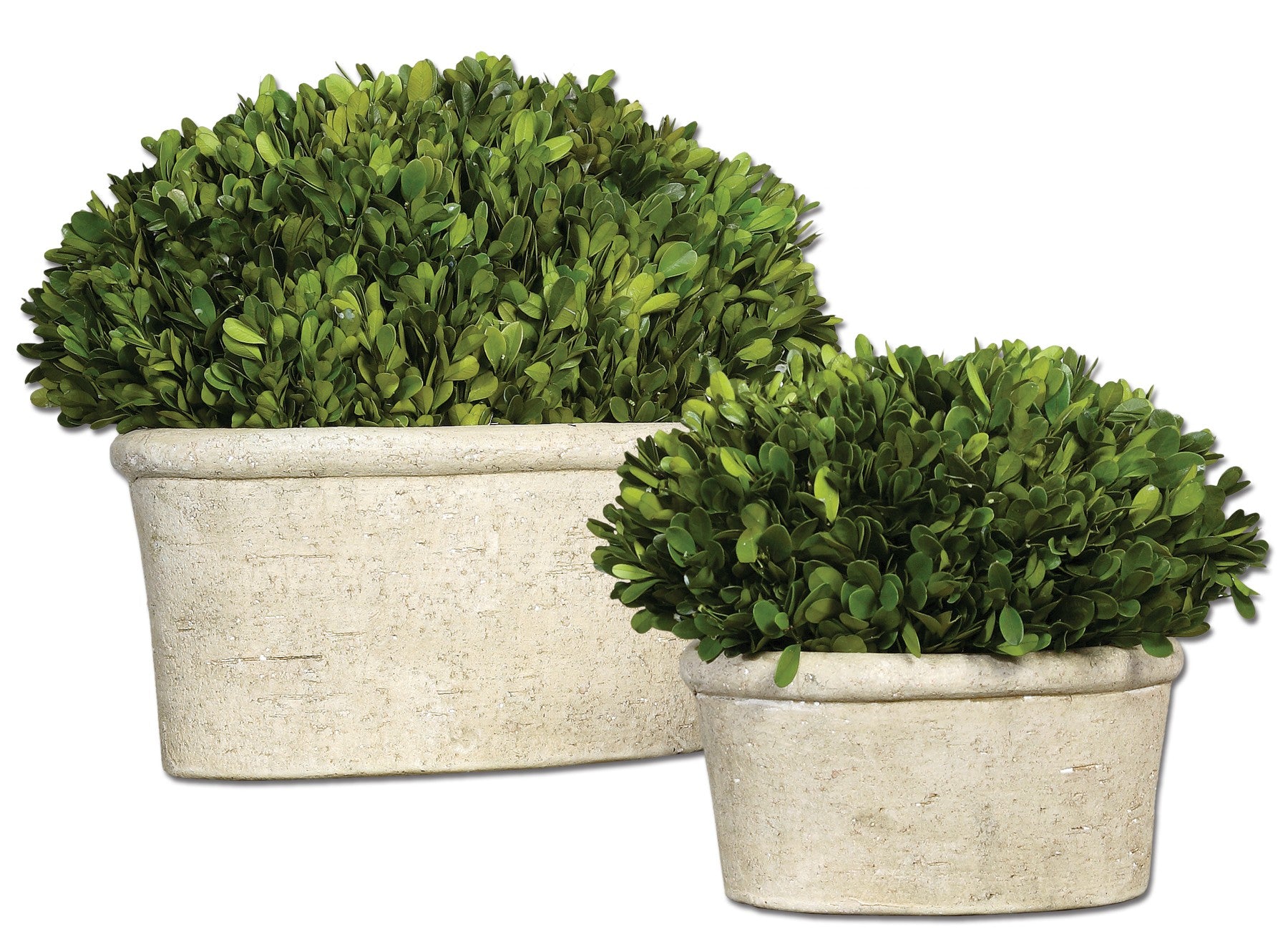Oval Domes Preserved Boxwood - Set of 2 by Uttermost