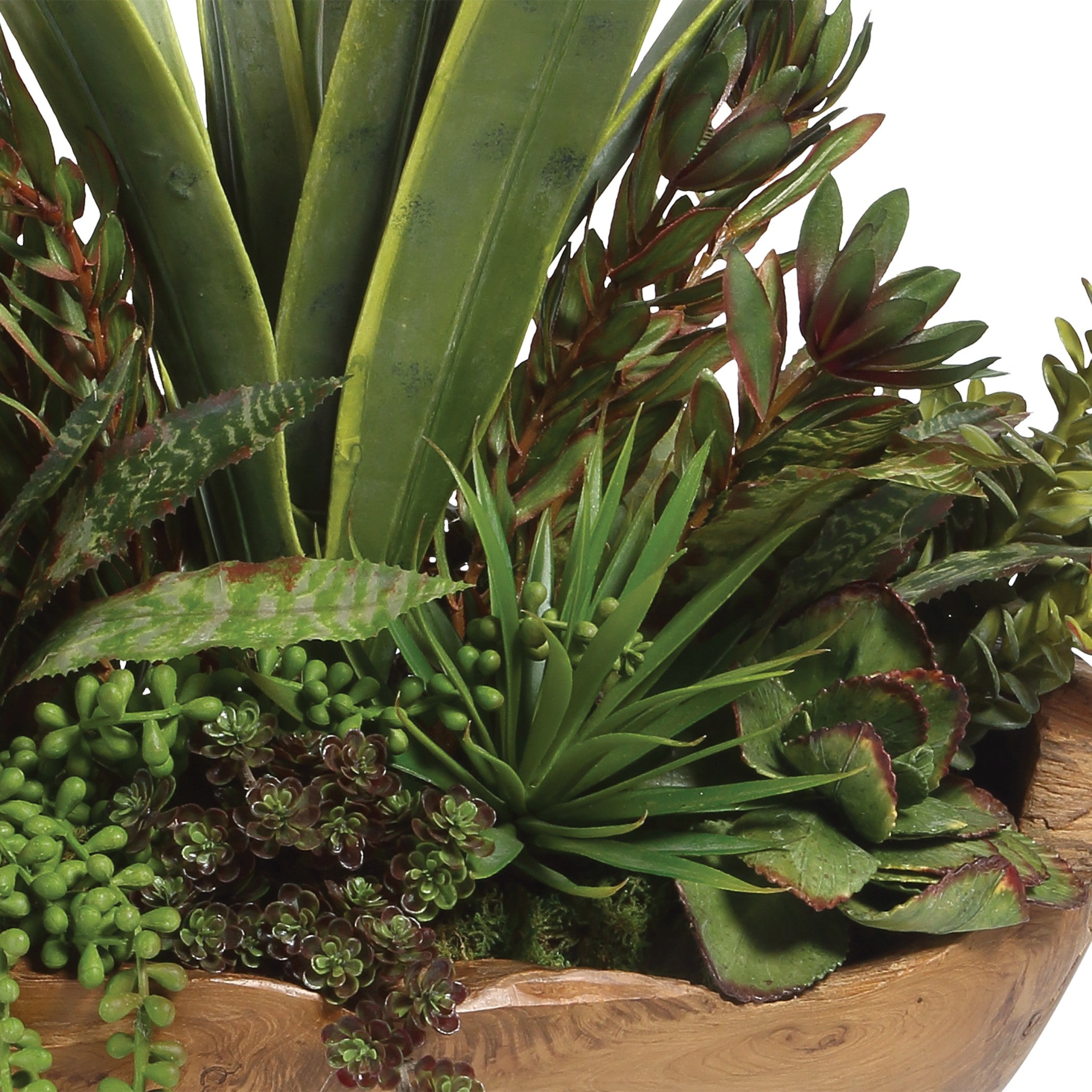 Salar Succulents In Teak Bowl by Uttermost