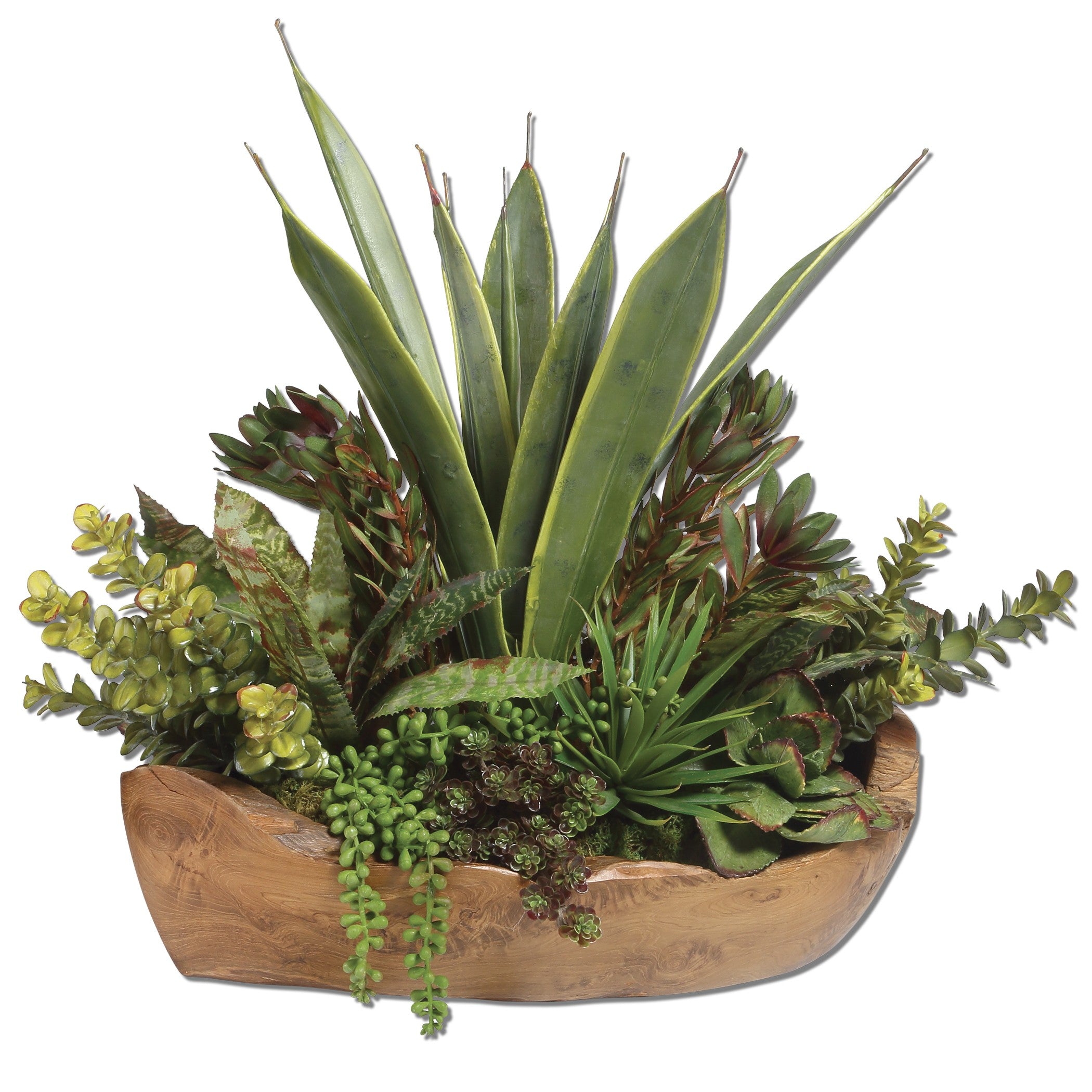 Salar Succulents In Teak Bowl by Uttermost