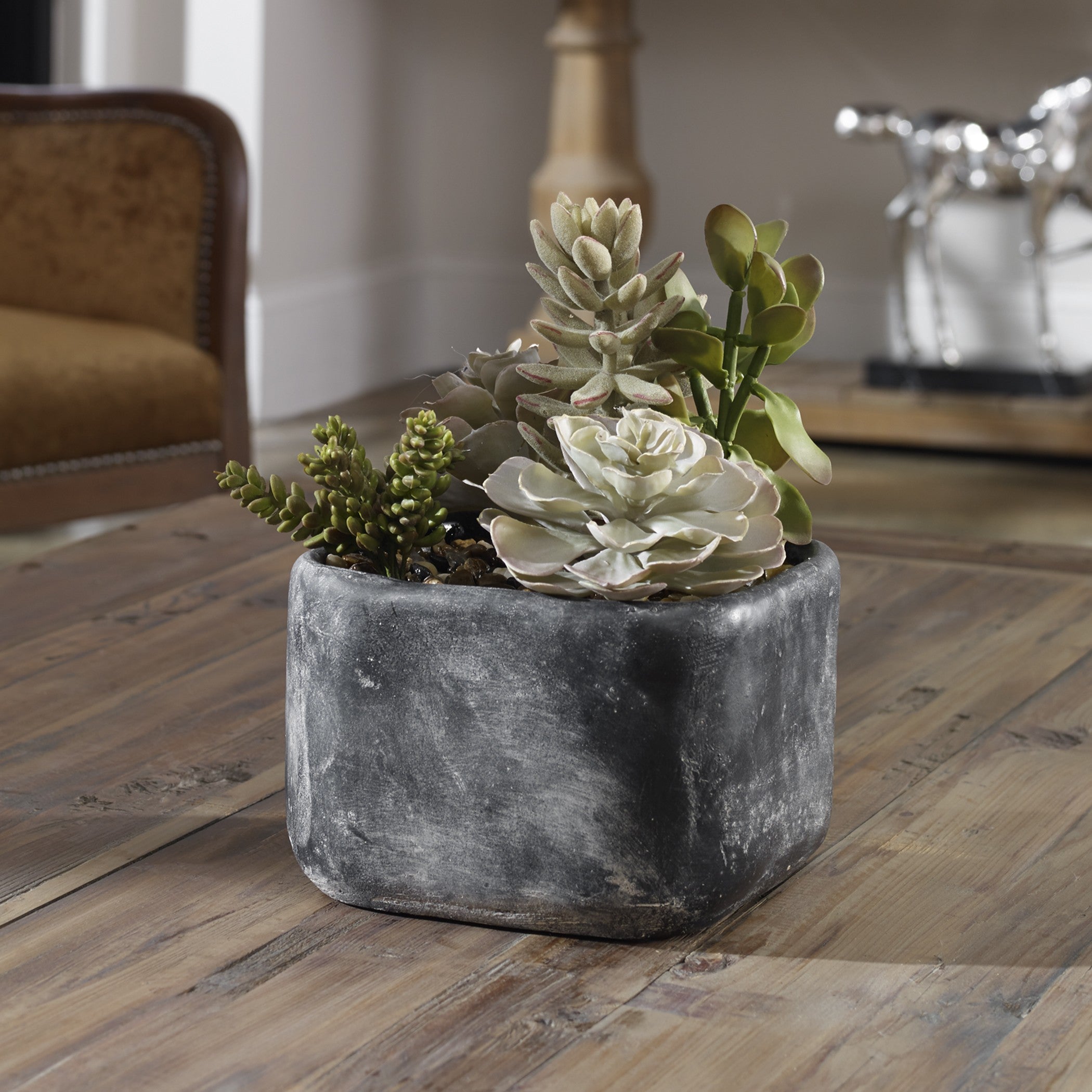Alverio Desert Garden Succulents by Uttermost
