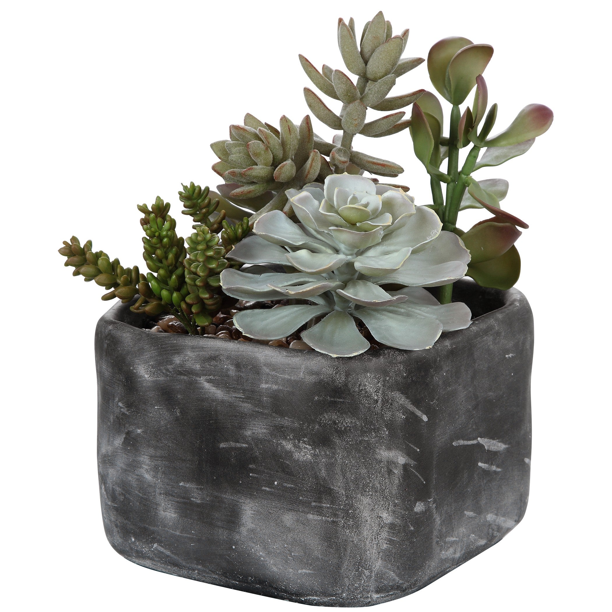 Alverio Desert Garden Succulents by Uttermost