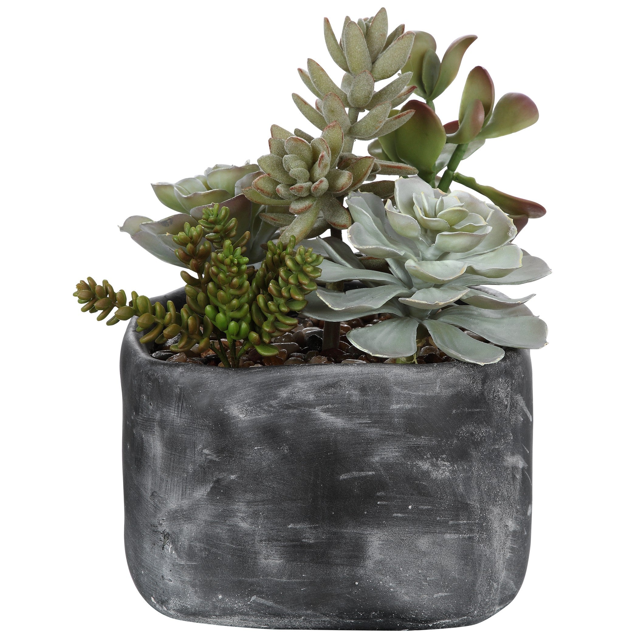 Alverio Desert Garden Succulents by Uttermost