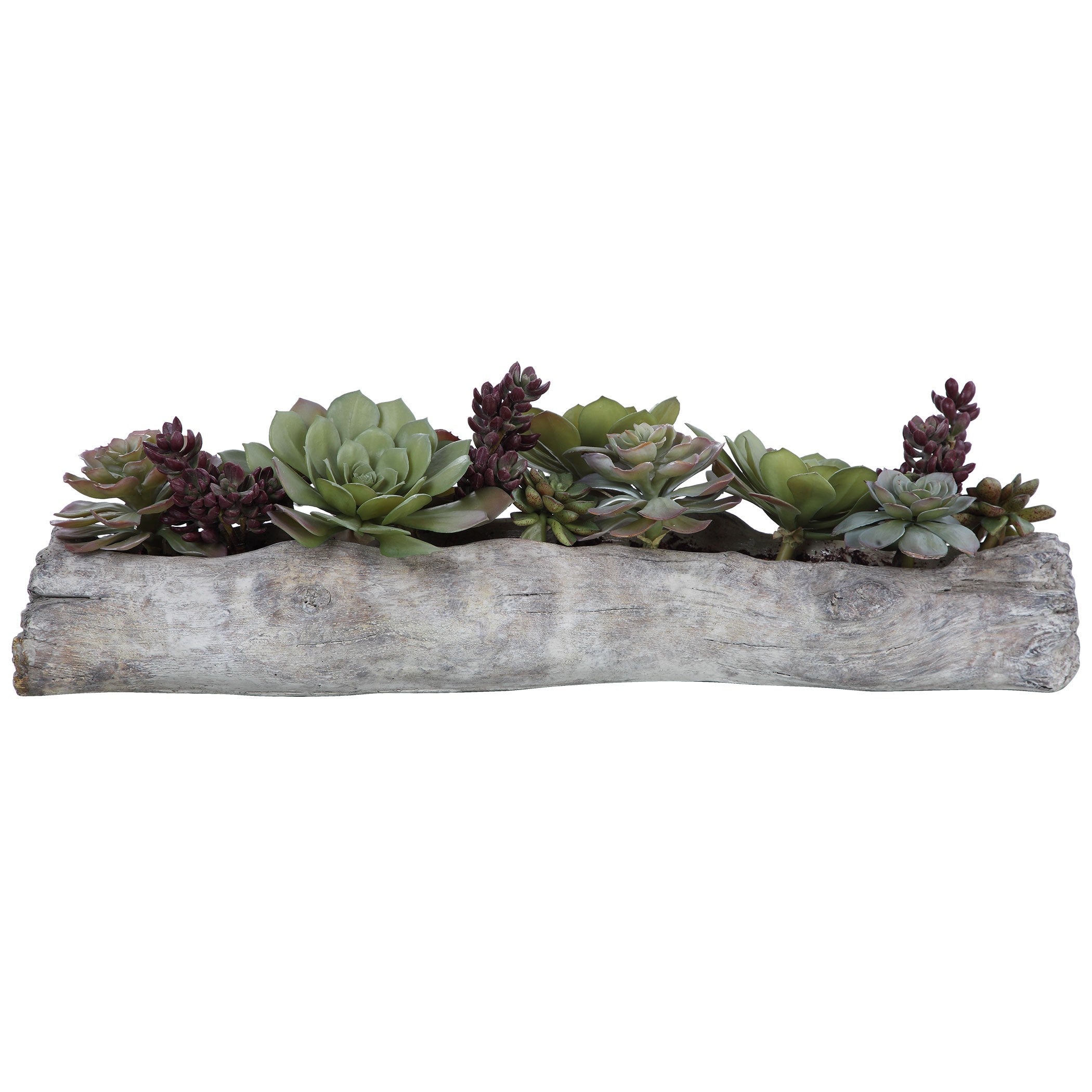 Charita Lush Succulents by Uttermost
