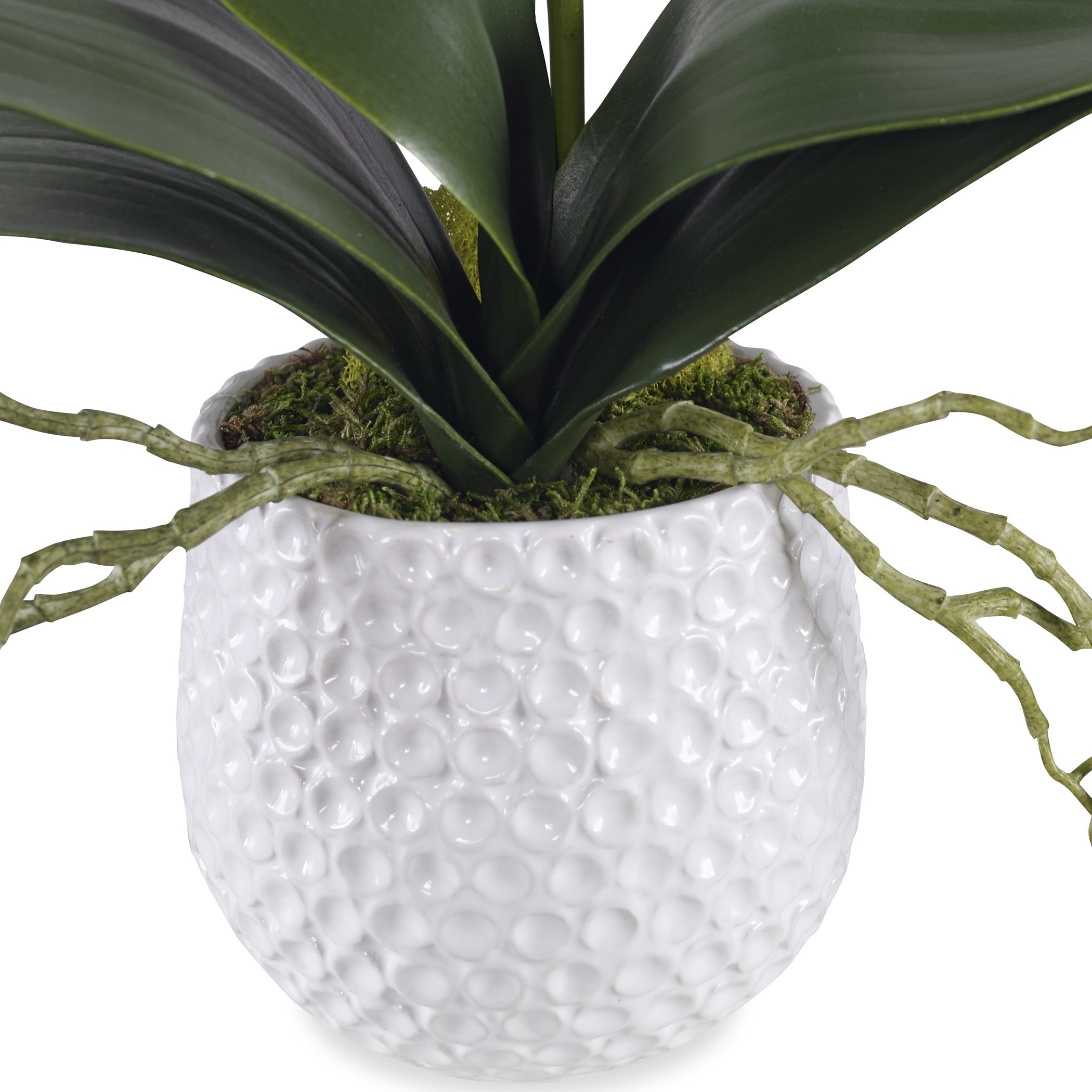 Cami White Orchid by Uttermost