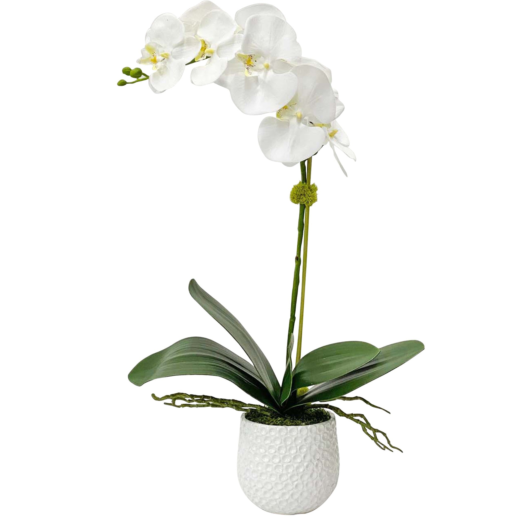 Cami White Orchid by Uttermost