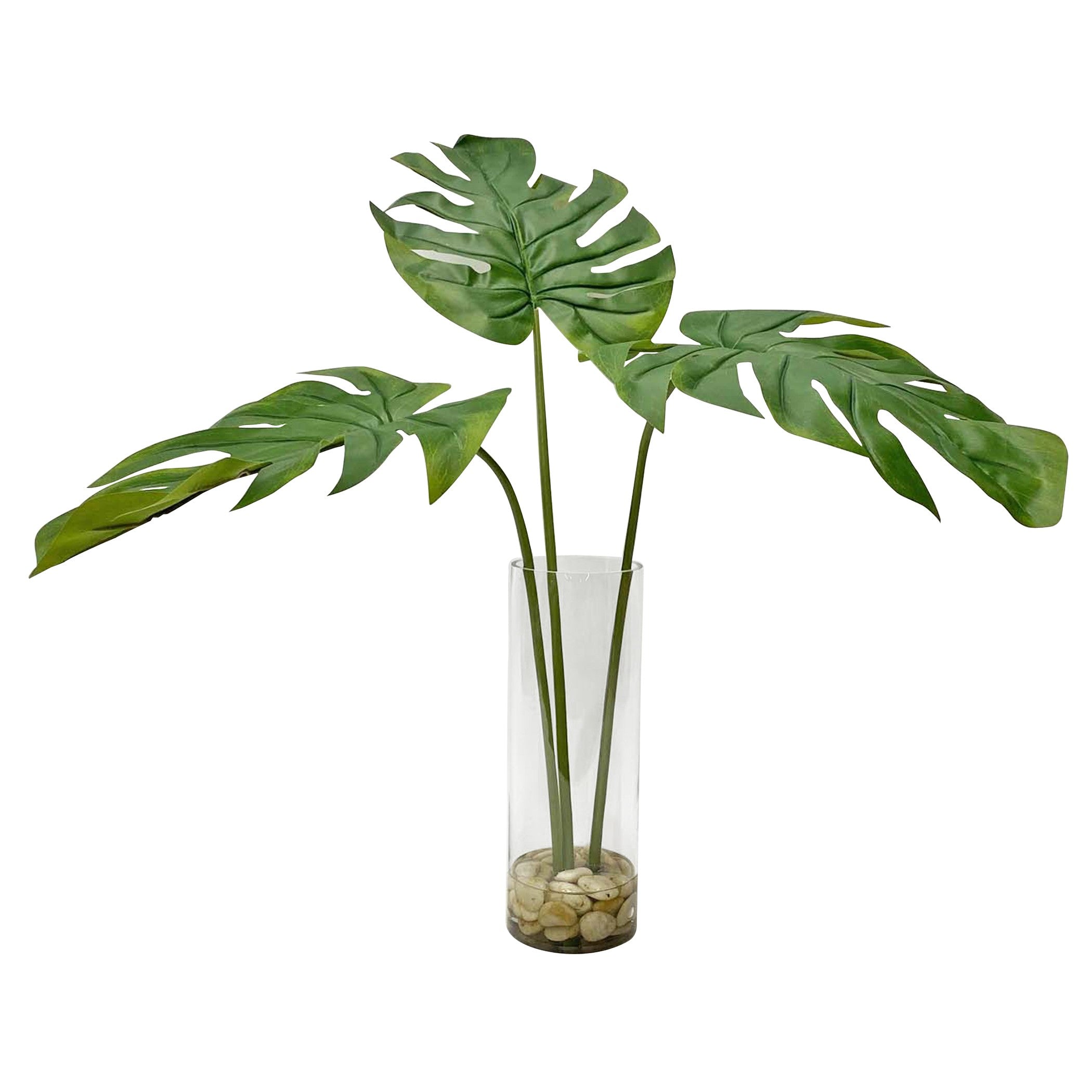 Ibero Split Leaf Palm by Uttermost