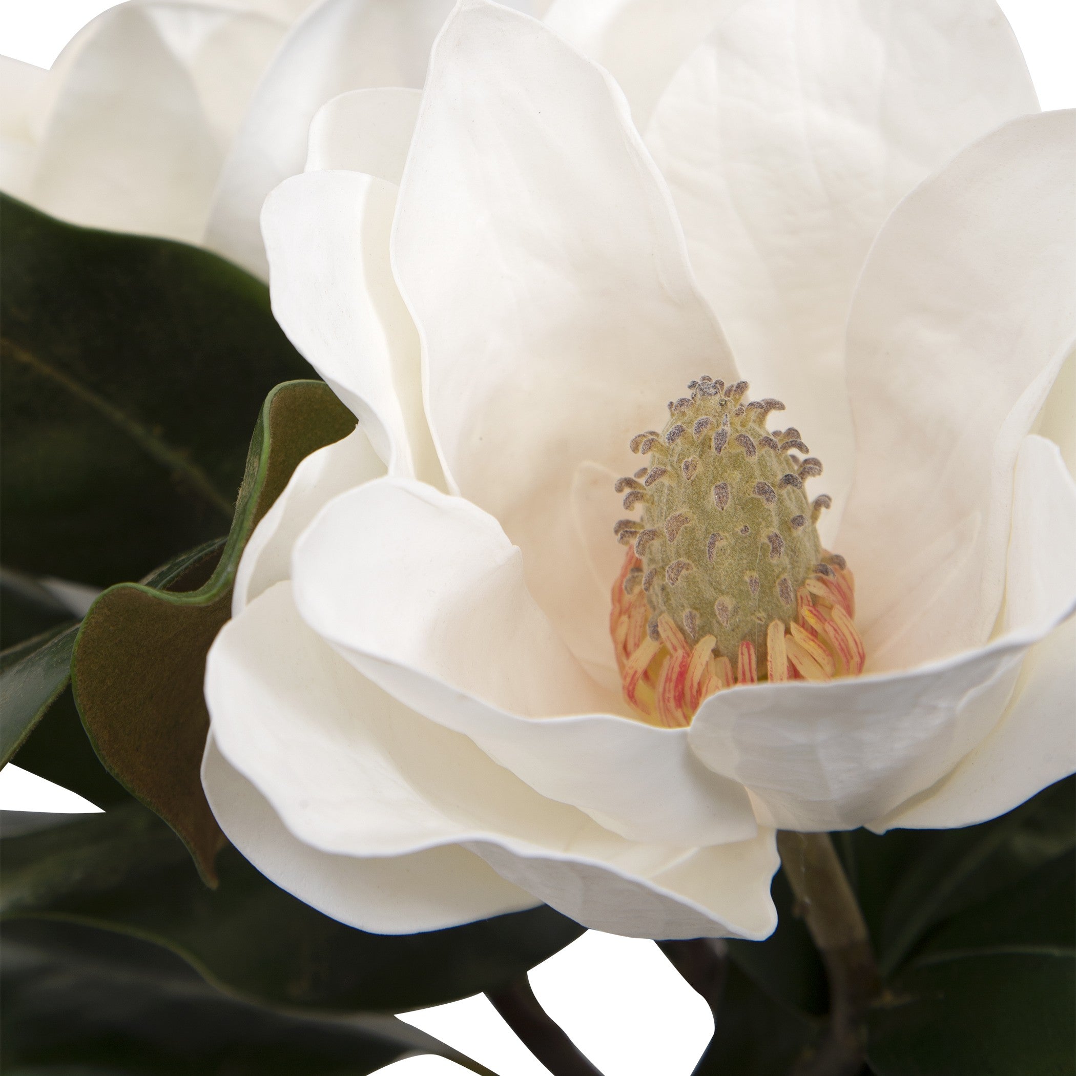 Middleton Magnolia Flower Centerpiece by Uttermost