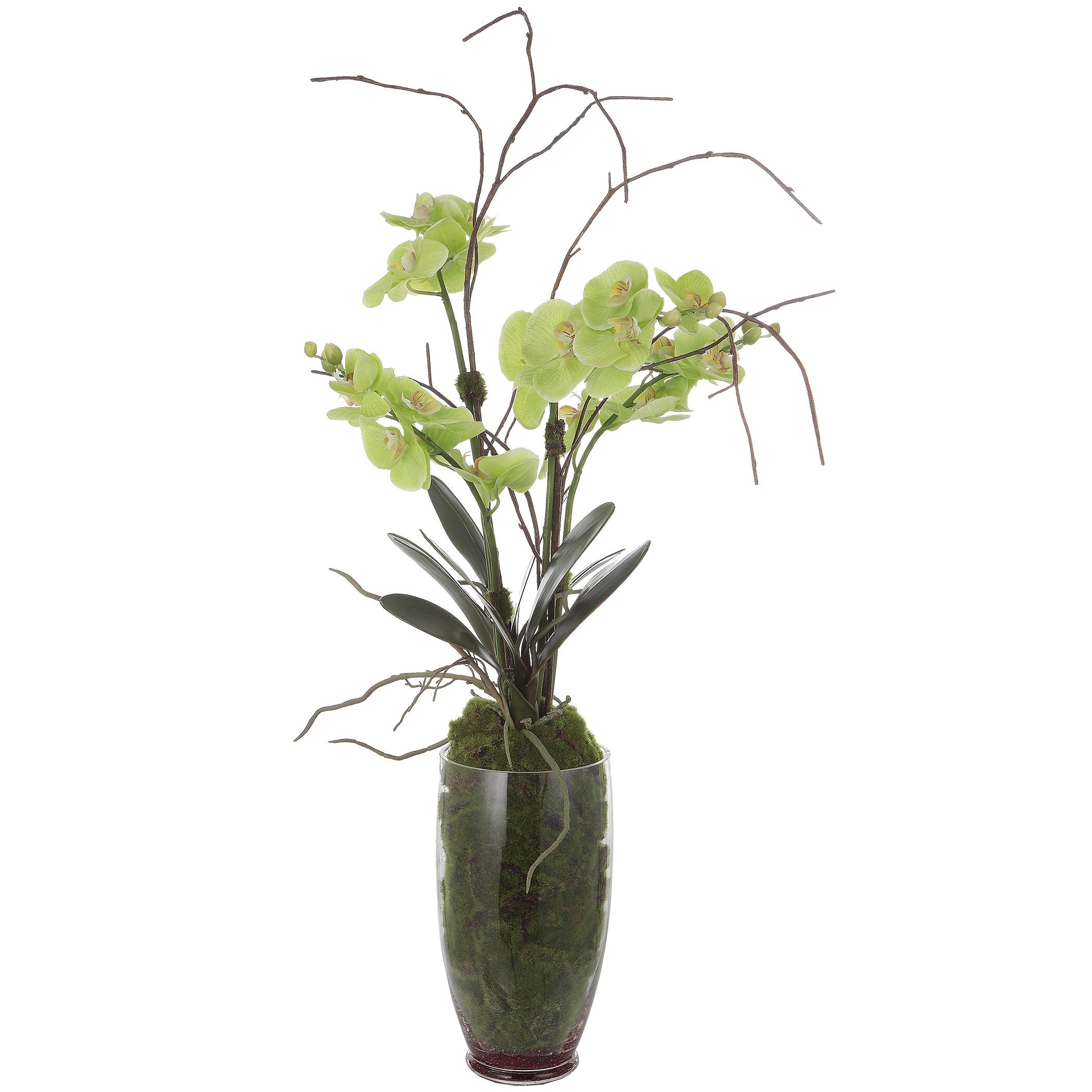 Valdive Orchid by Uttermost