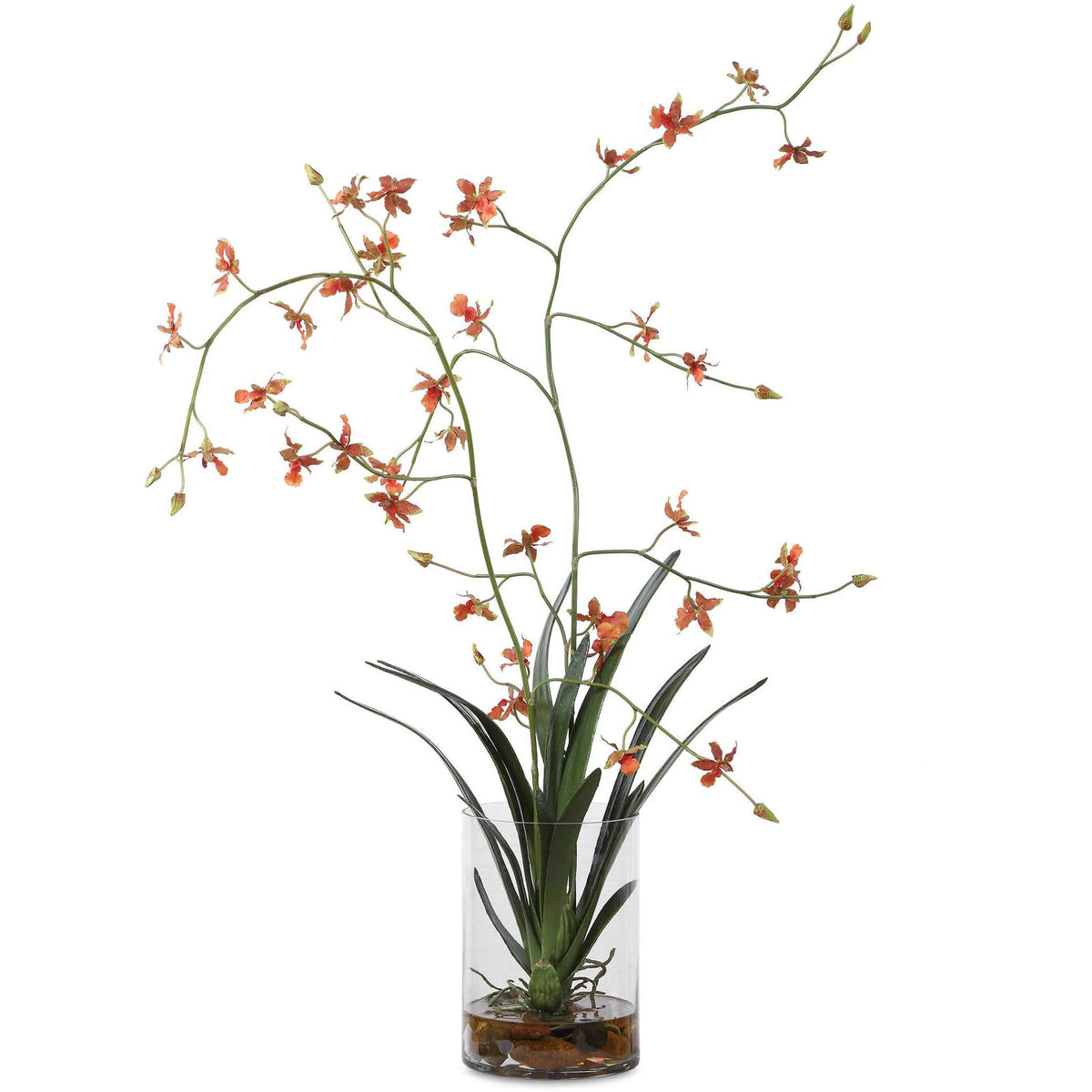 Dancing Orchid In Glass Vase Uttermost
