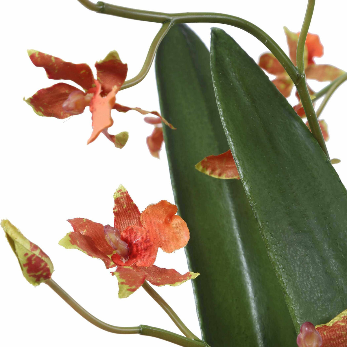 Dancing Orchid In Glass Vase Uttermost