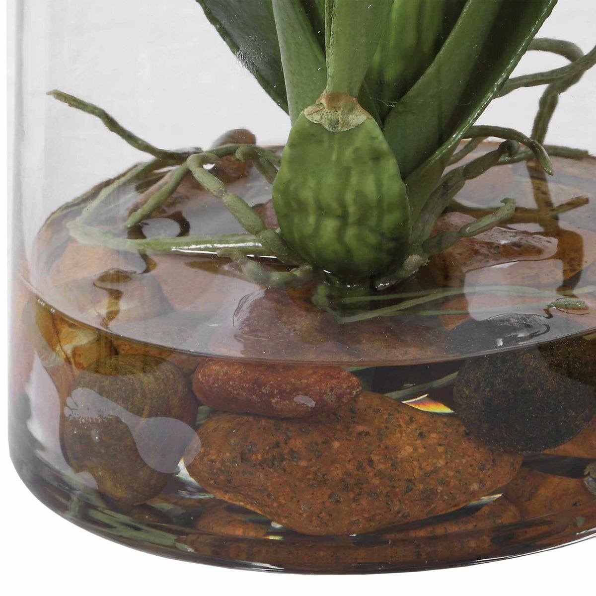 Dancing Orchid In Glass Vase Uttermost