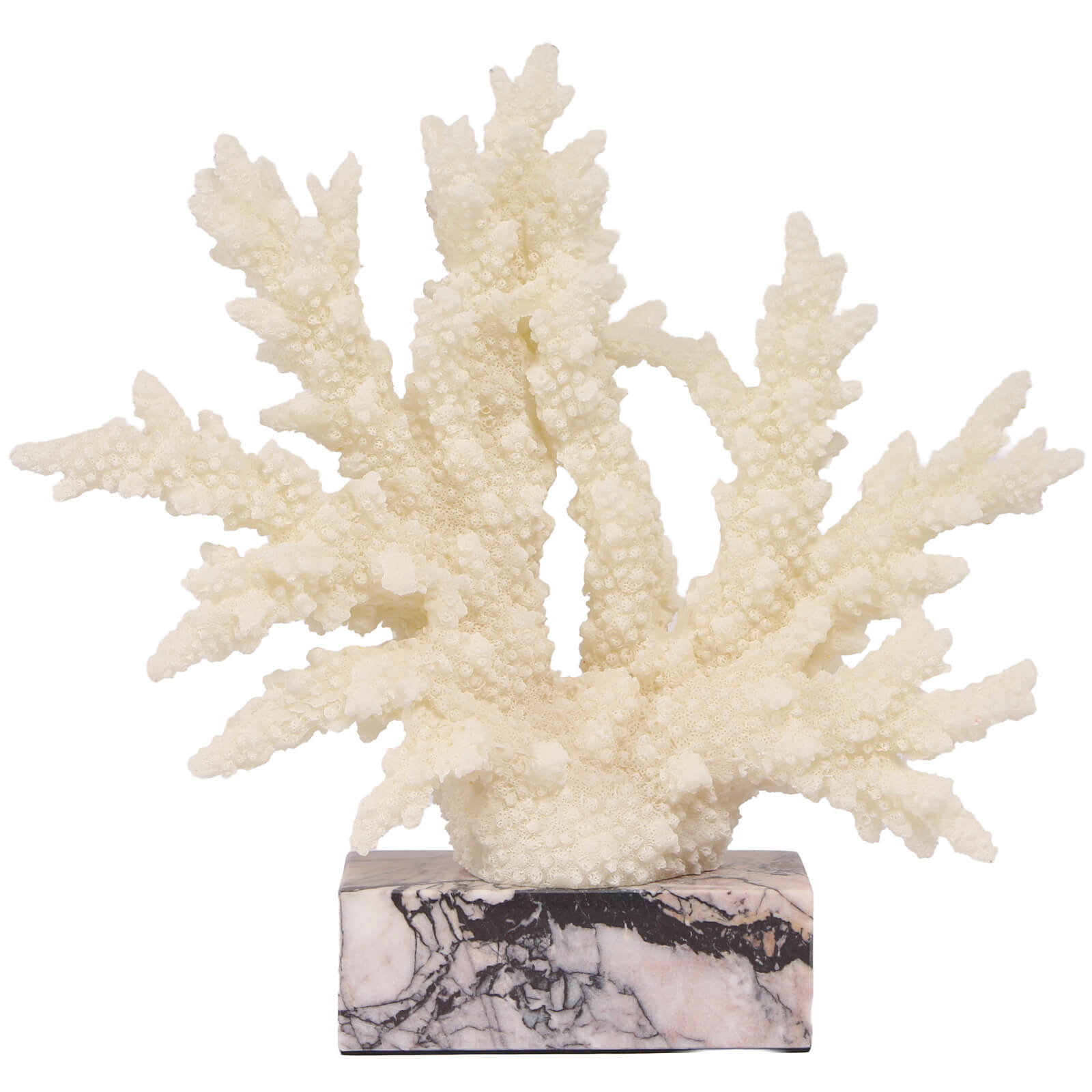 Raize Coral Sculpture by Keiichi
