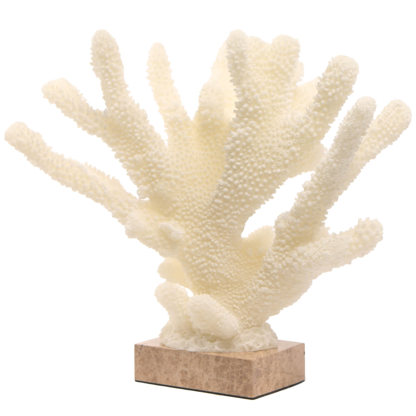 Pearline Coral Ornament by Keiichi