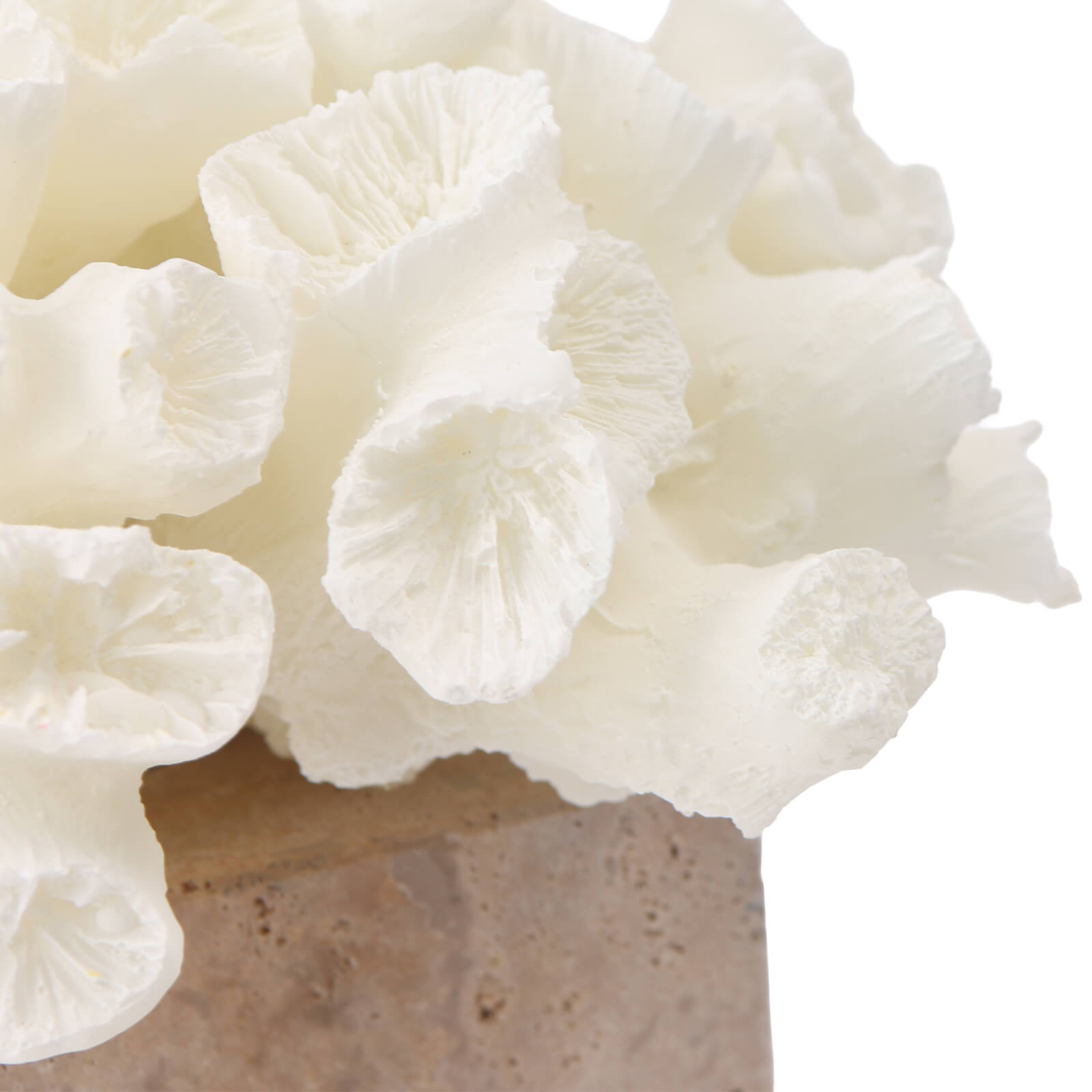Vela Coral Ornament by Keiichi