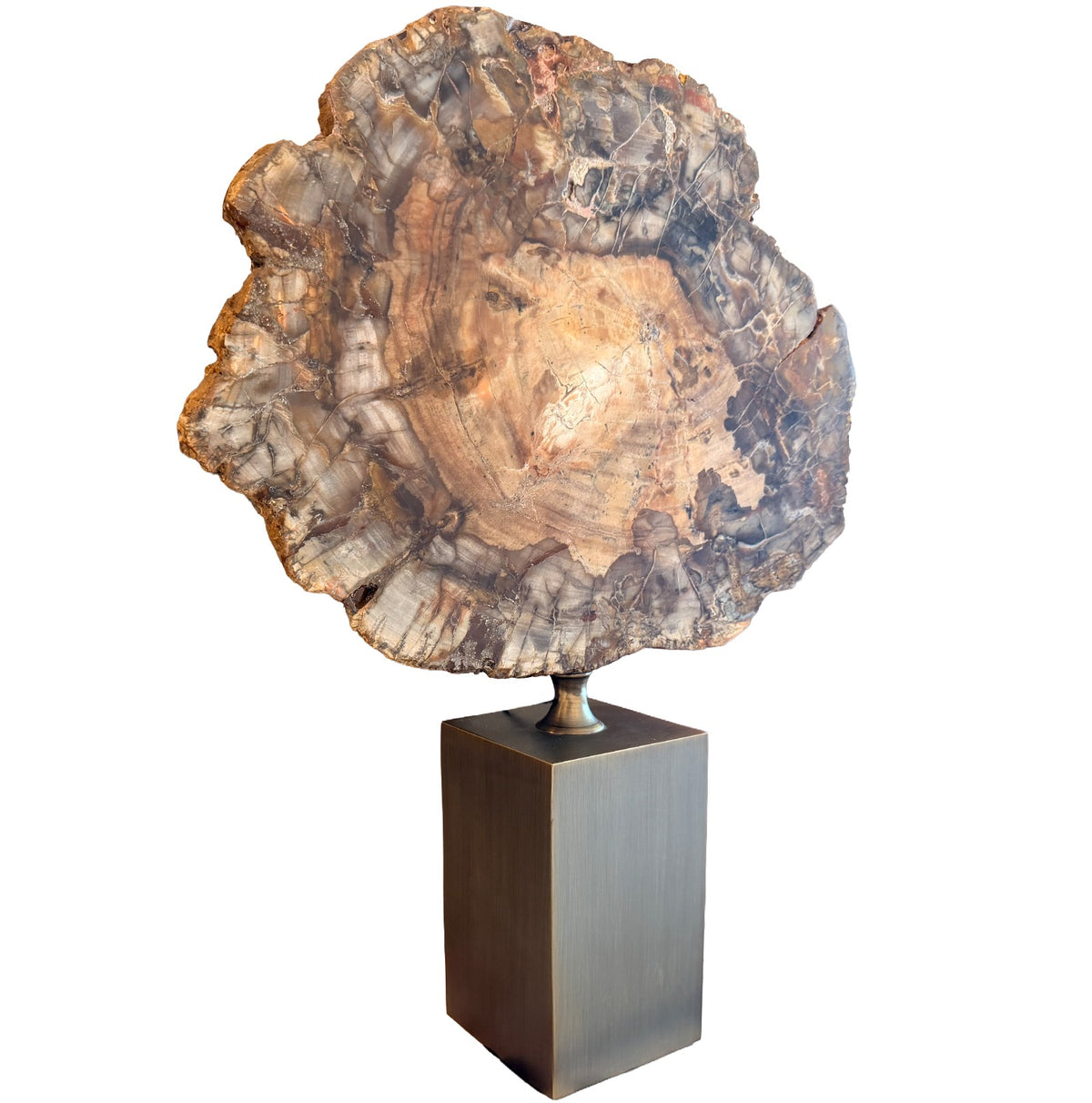 Ivor Petrified Wood Sculpture Keiichi