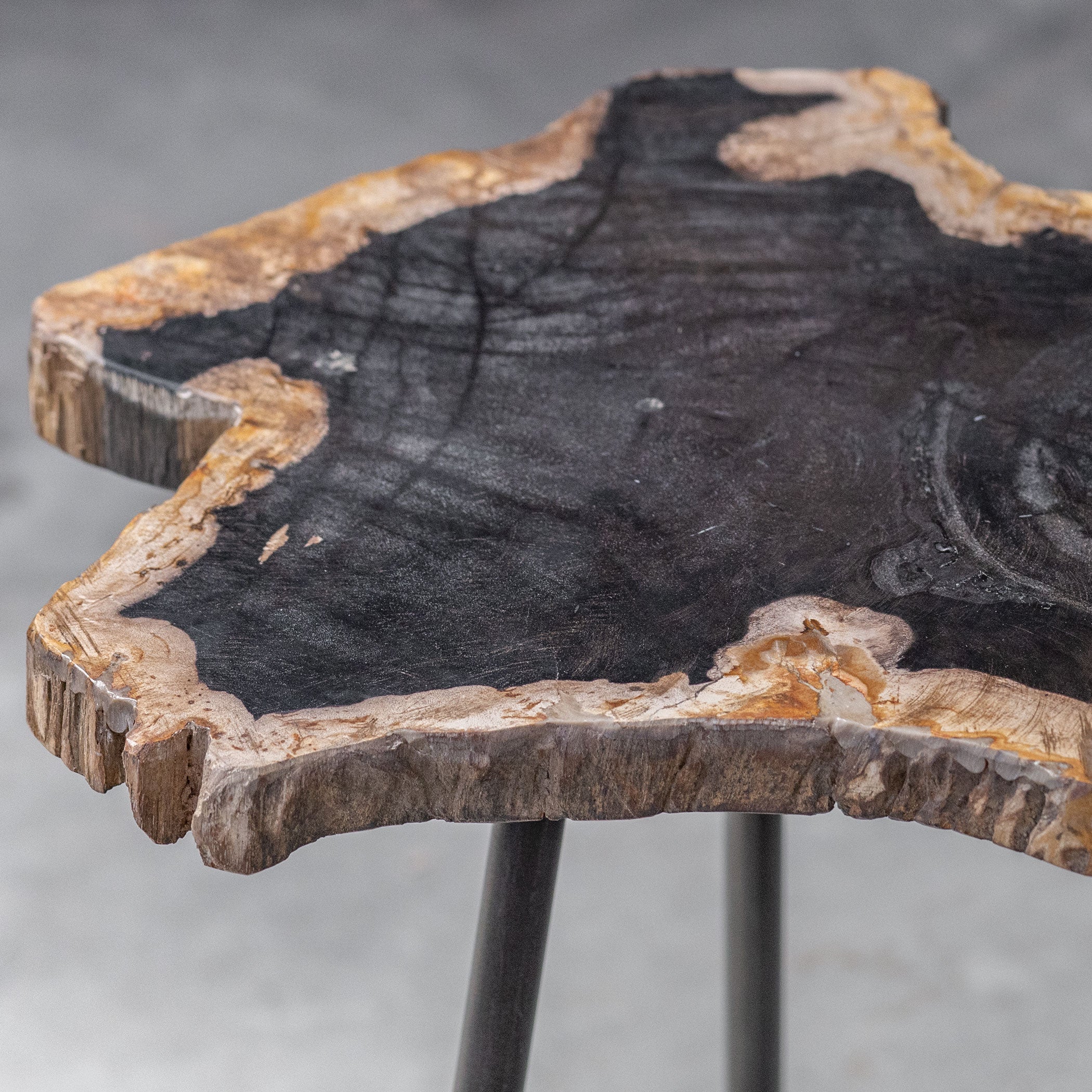 Mircea Petrified Wood Accent Table by Uttermost