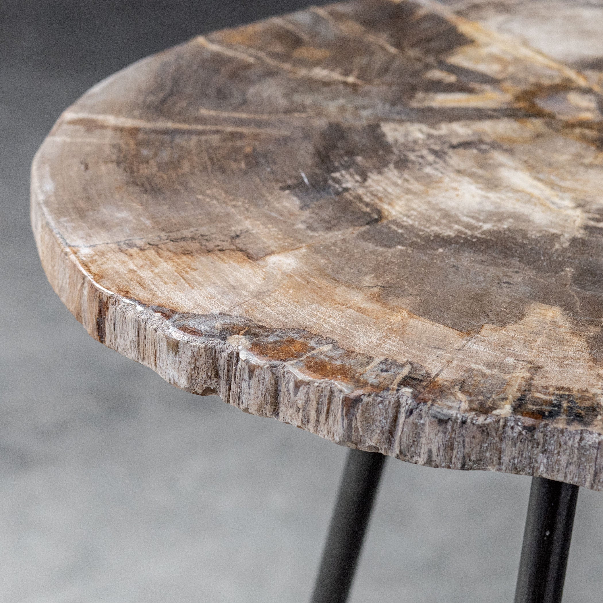 Mircea Petrified Wood Accent Table by Uttermost