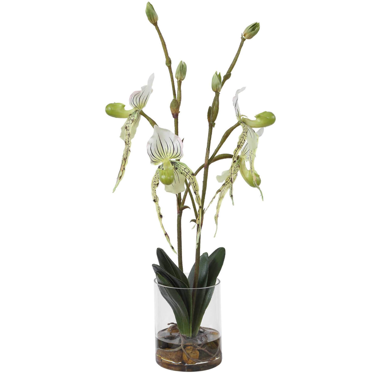 Lady Slipper Orchid In Glass Vase Uttermost