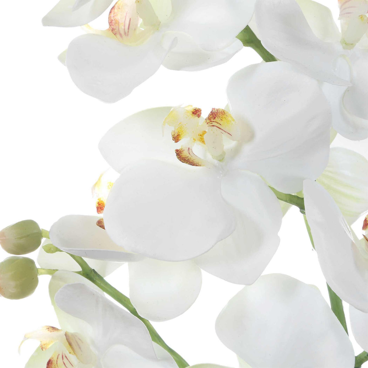 Laris Orchid Drop-In Uttermost