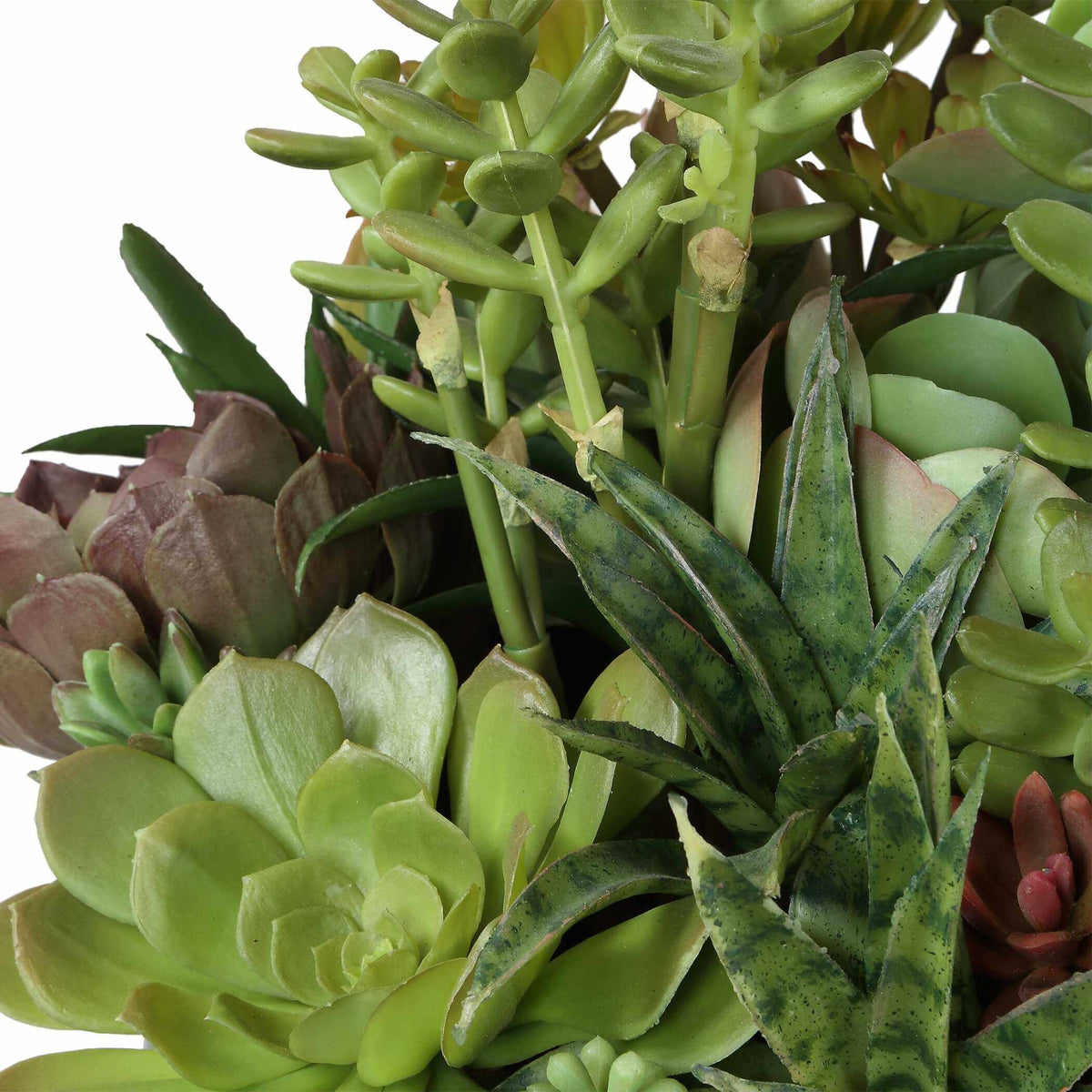 Mico Indoor-Outdoor Succulent Centerpiece Uttermost