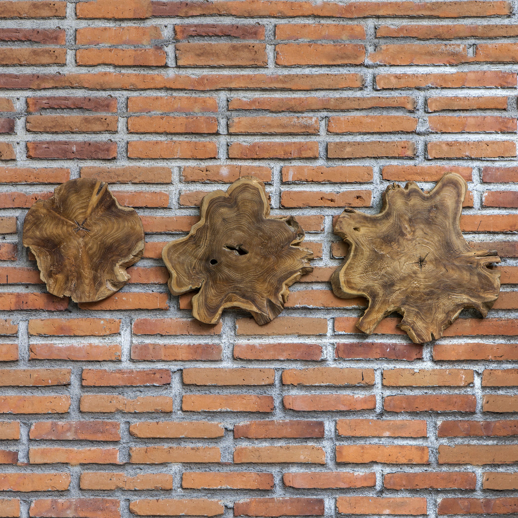 Kalani Indoor-Outdoor Teak Wall Art - Set of 3 by Uttermost