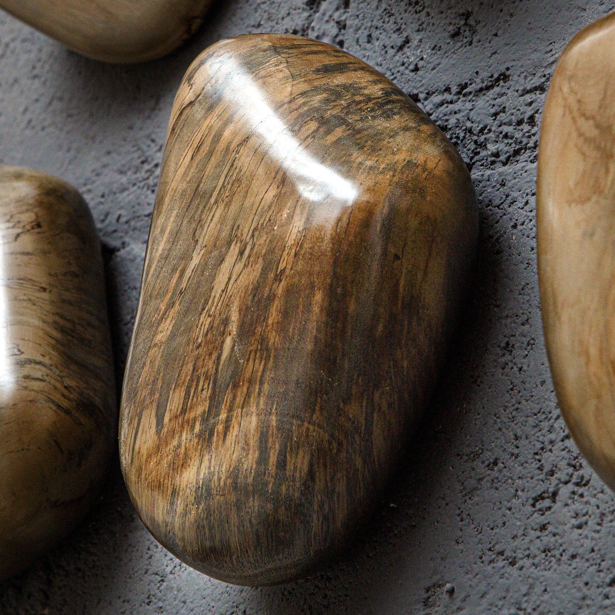 Pebbles Walnut Wood Wall Décor - Set of 9 by Uttermost