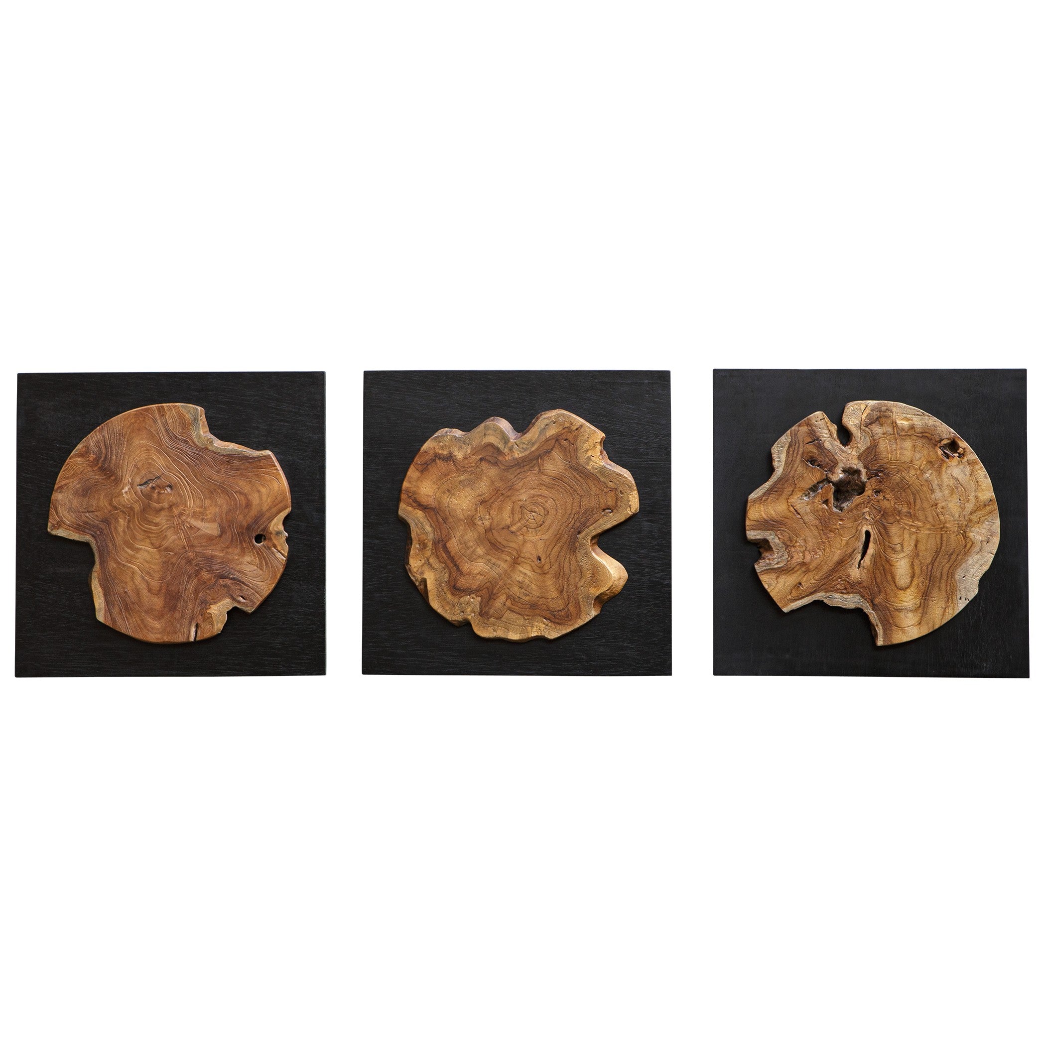 Kolini Teak Wood Wall Decor - Set of 3 by Uttermost