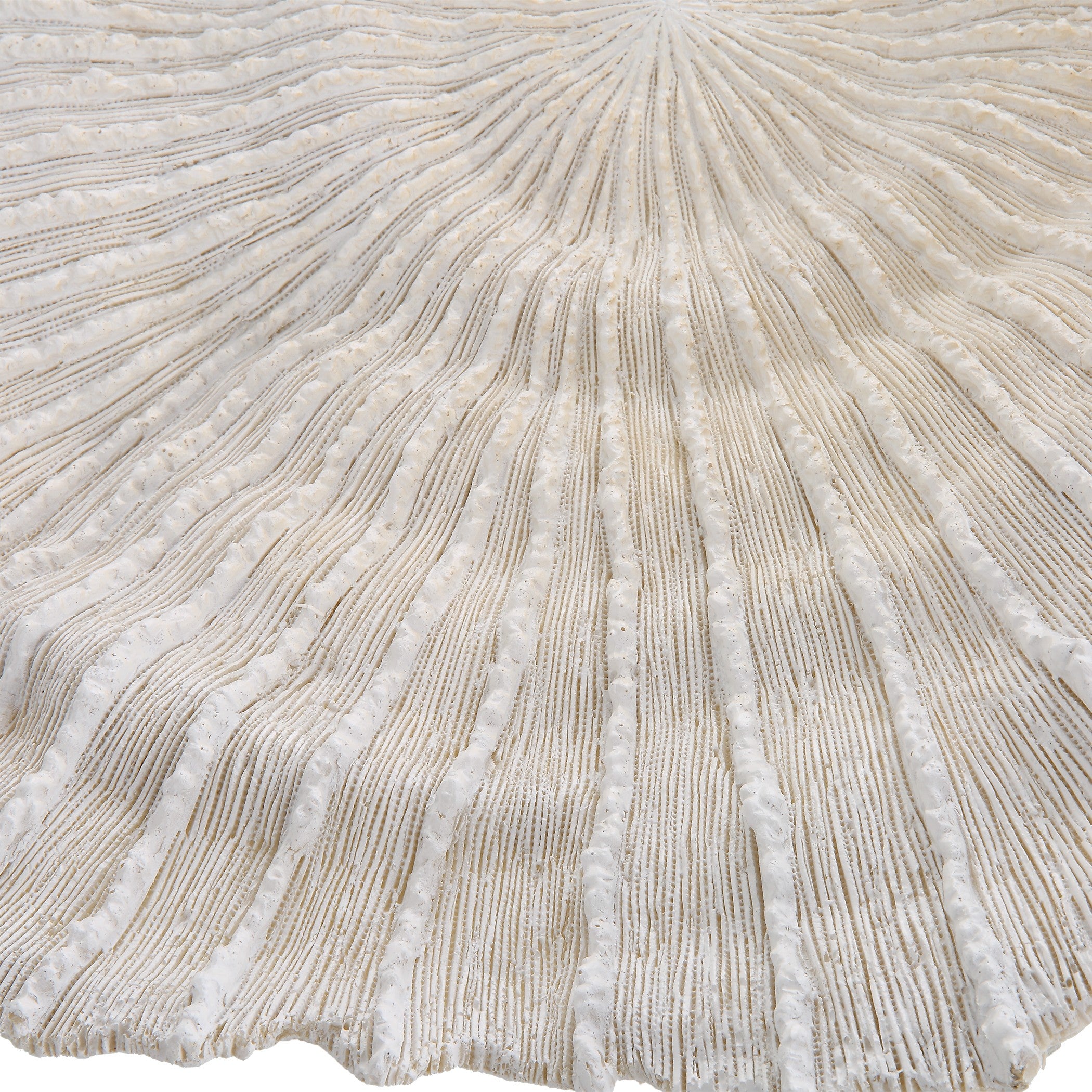 Ocean Gems Coral Wall Decor - Set of 3 by Uttermost
