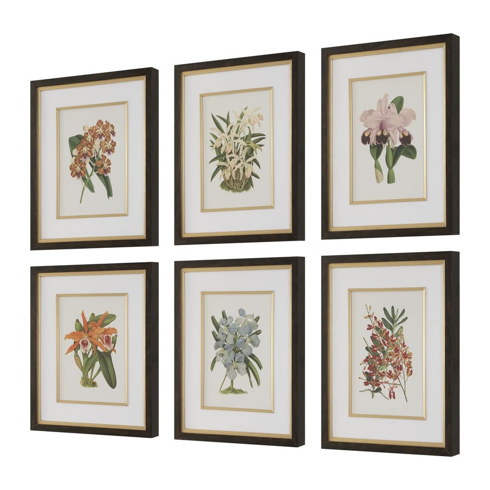 Orchid Botanical Framed Prints Set of 6 by Uttermost