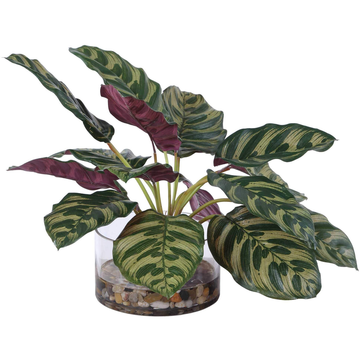 Peacock Plant Accent Uttermost